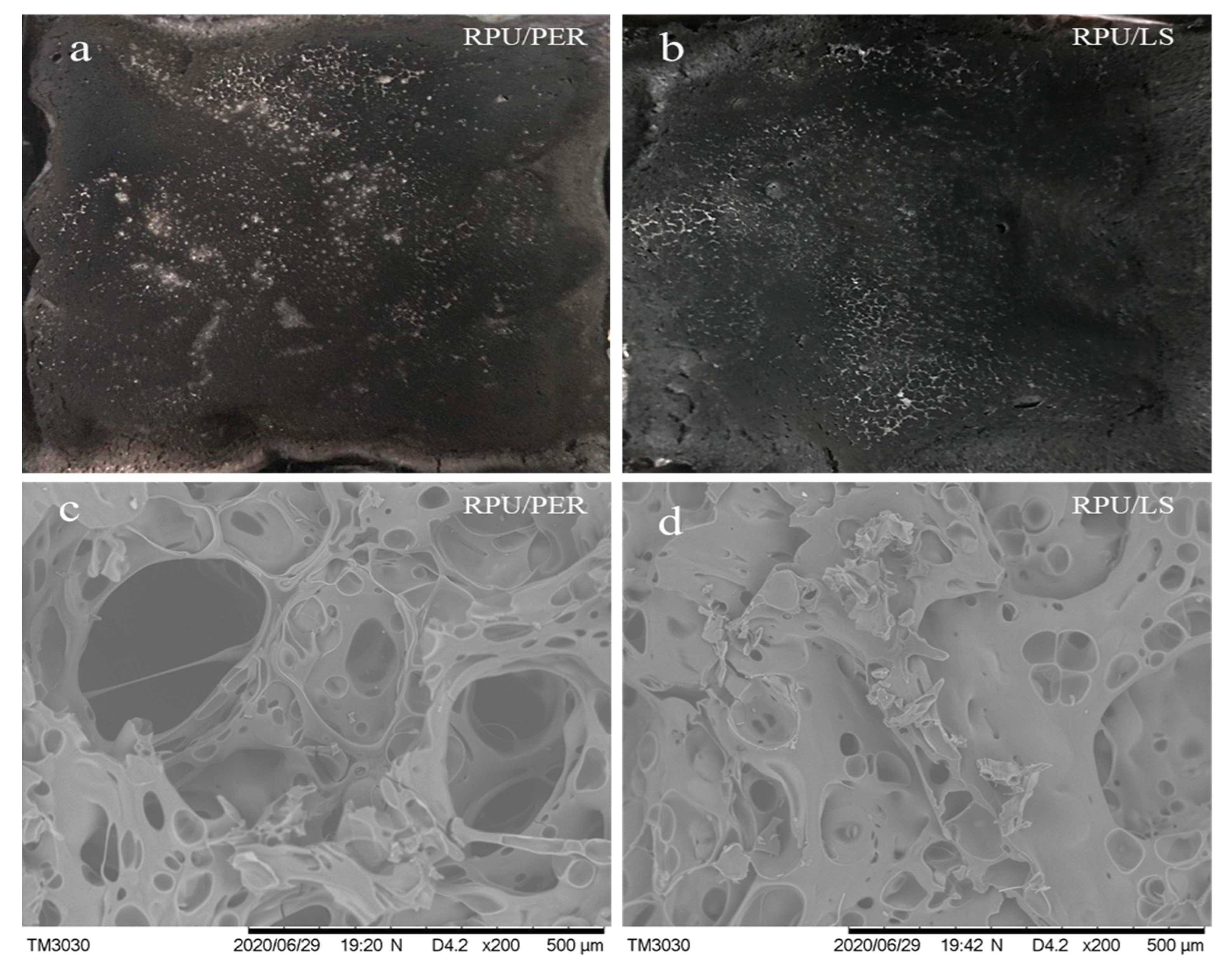 Polymers 13 01585 g004