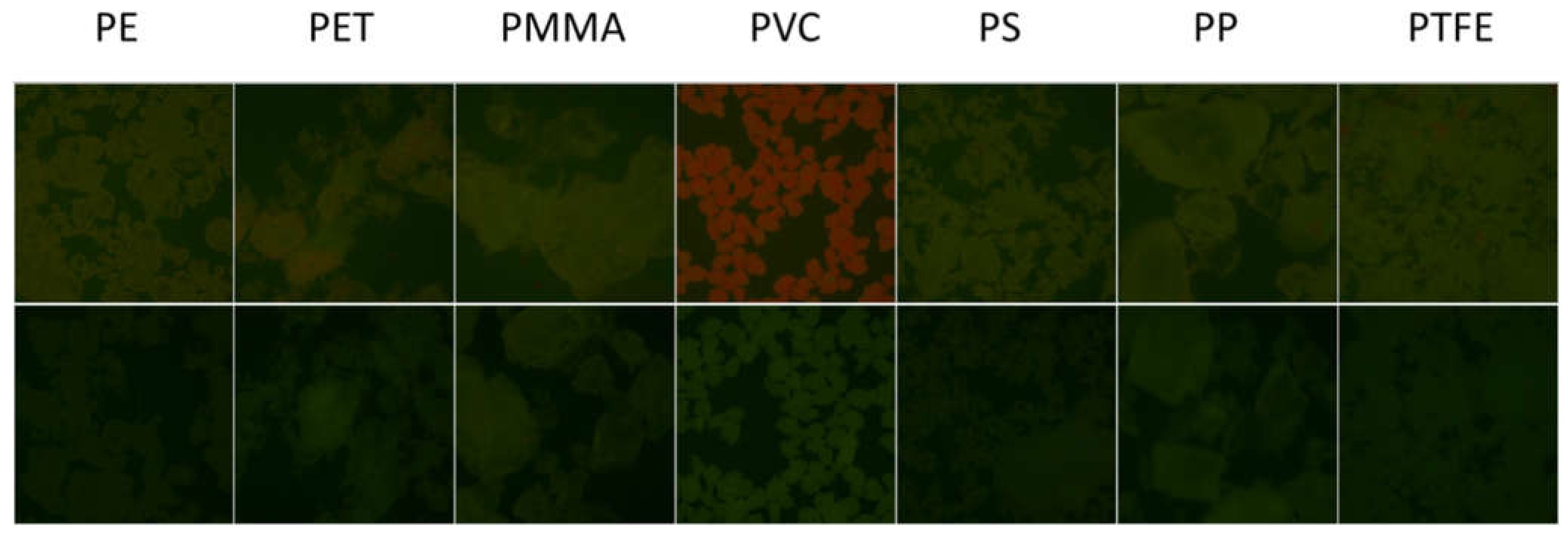 Polymers 13 01588 g007