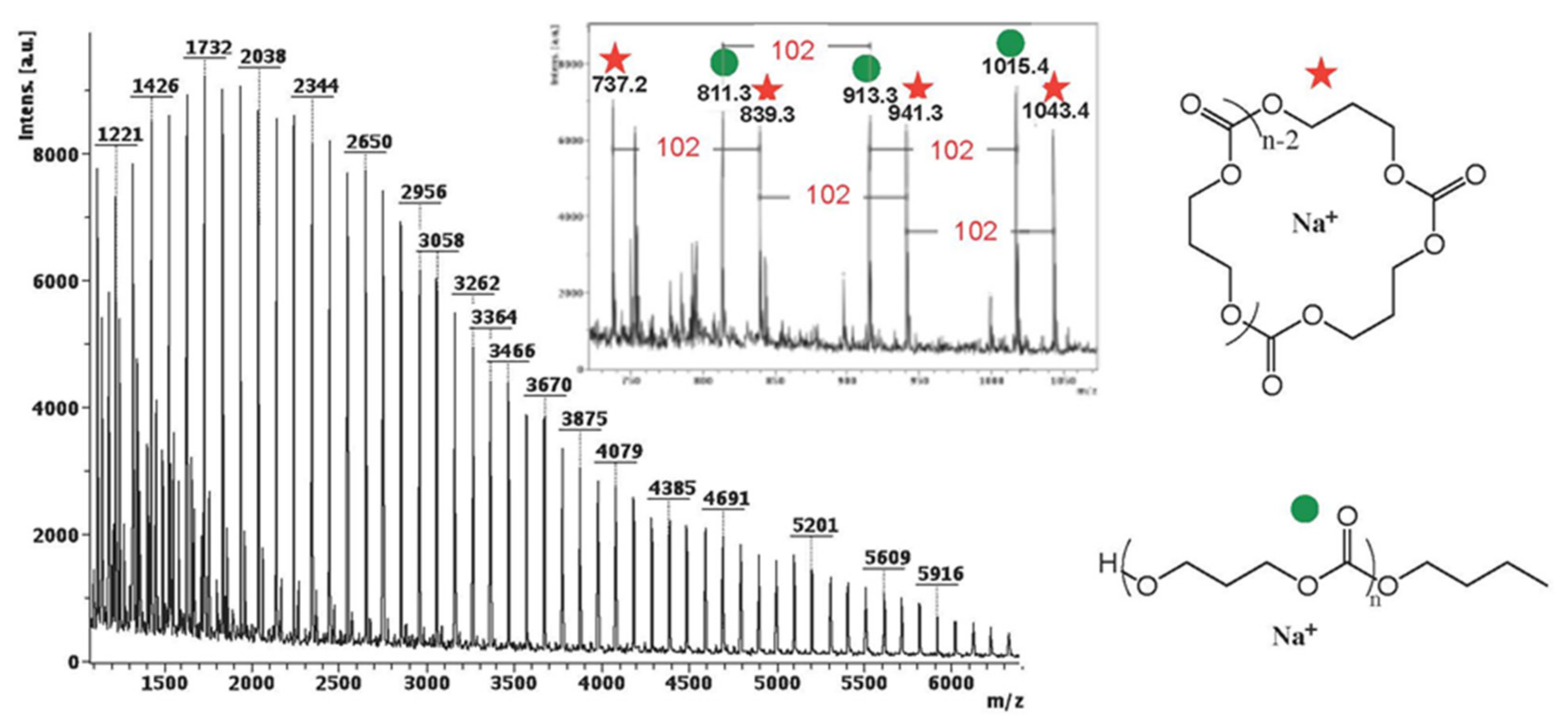 Polymers 13 01589 g004 Polymers 13 01589 g004
