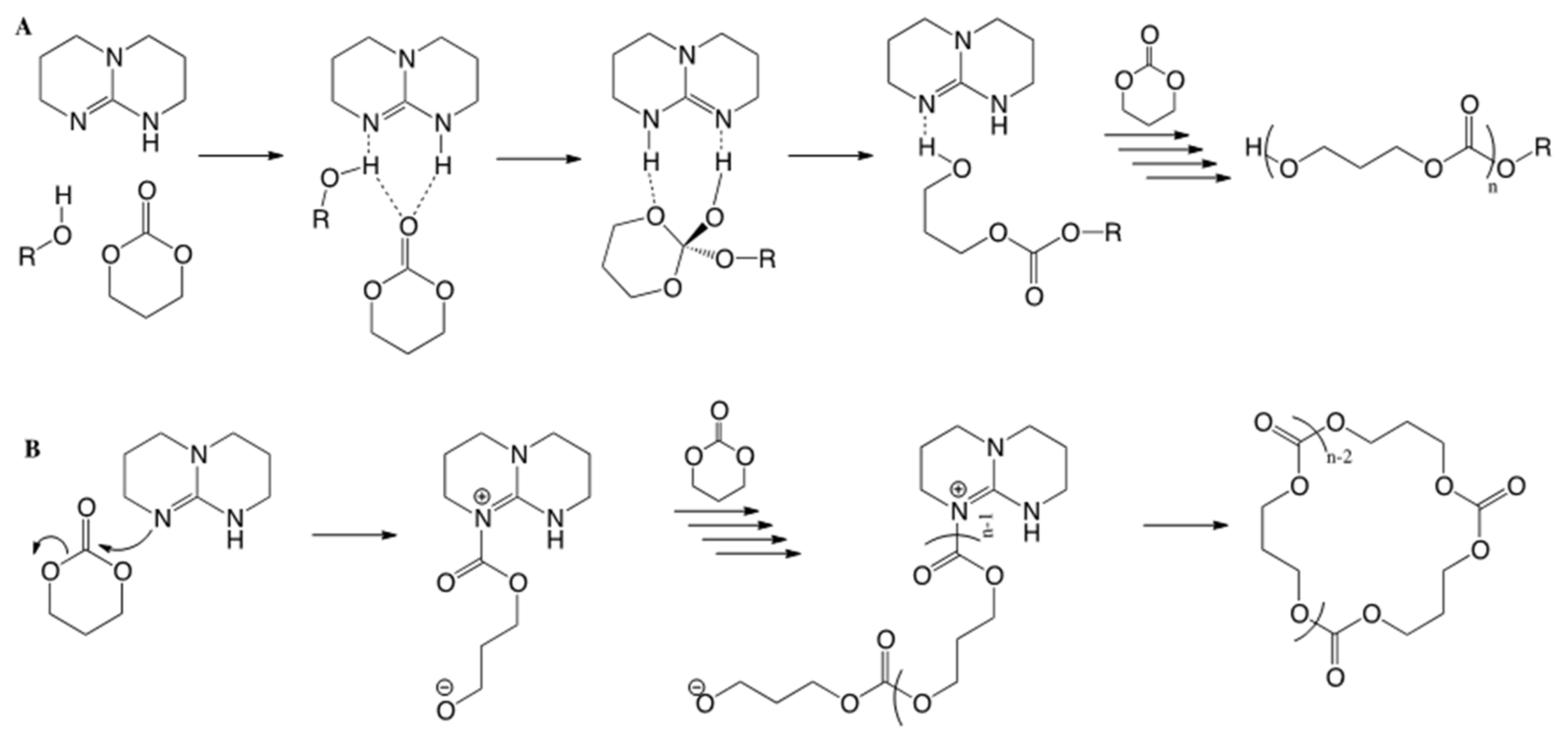Polymers 13 01589 sch002 Polymers 13 01589 sch002