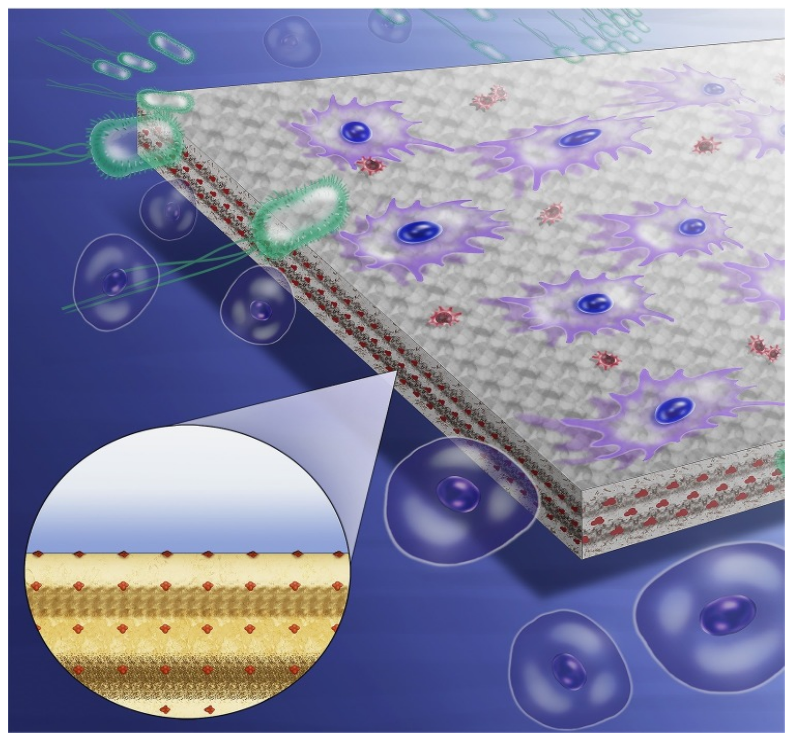 Polymers 13 01590 g003 Polymers 13 01590 g003