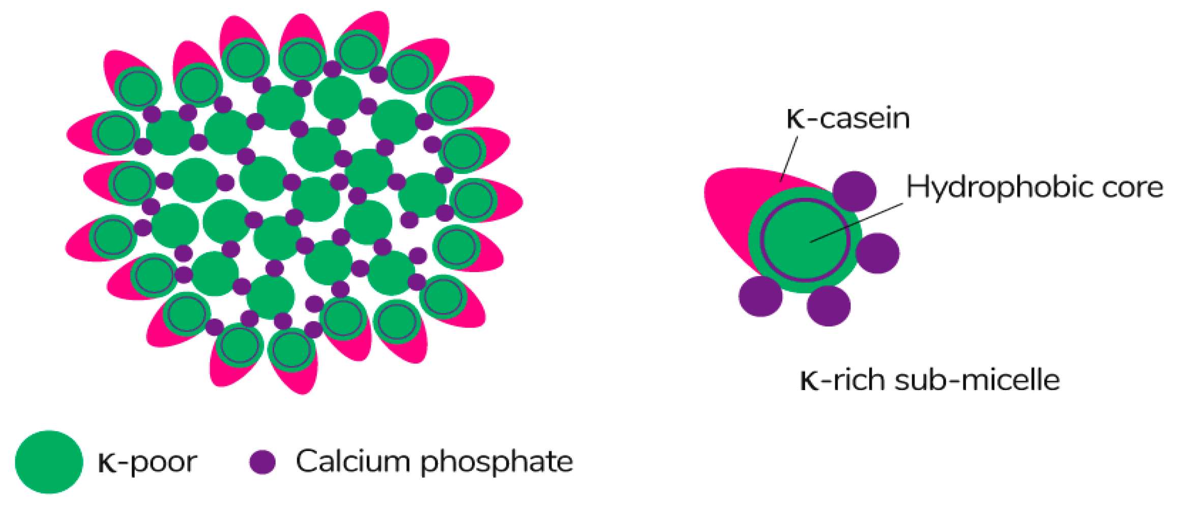 Polymers Free Full Text Approaches In Animal Proteins And Natural Polysaccharides Application For Food Packaging Edible Film Production And Quality Estimation Html Polymers Free Full Text Approaches In Animal Proteins And Natural Polysaccharides Application For Food Packaging Edible Film Production And Quality Estimation Html