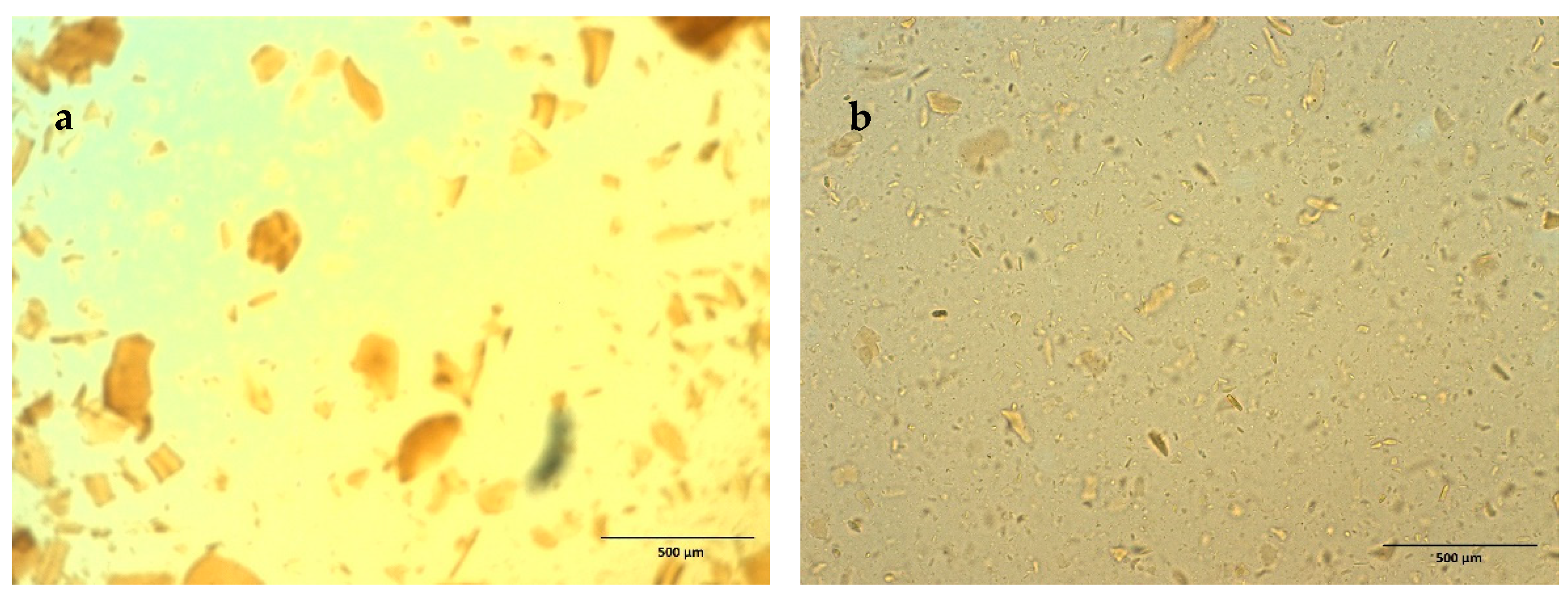 Polymers 13 01595 g003