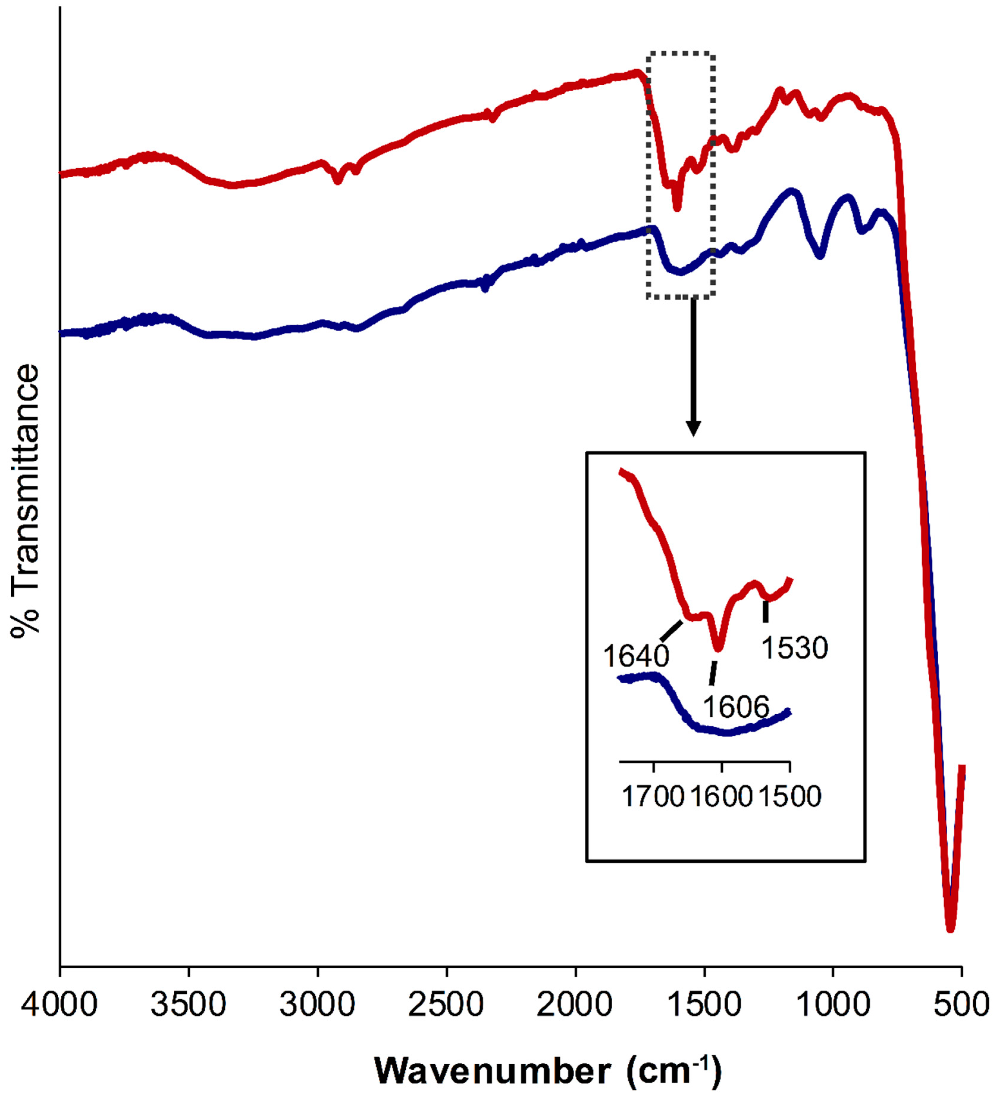 Polymers 13 01599 g005