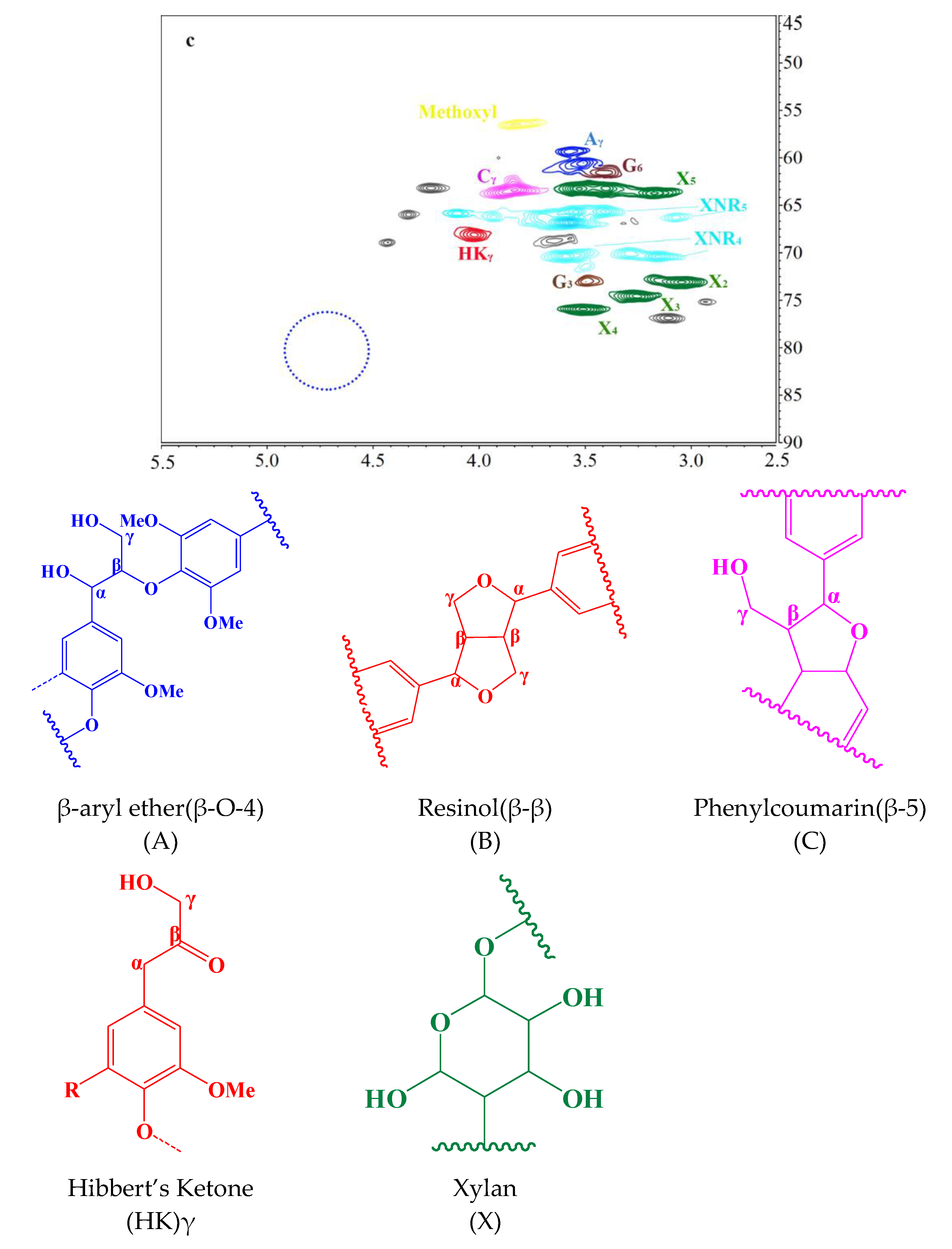 Polymers 13 01600 g005b