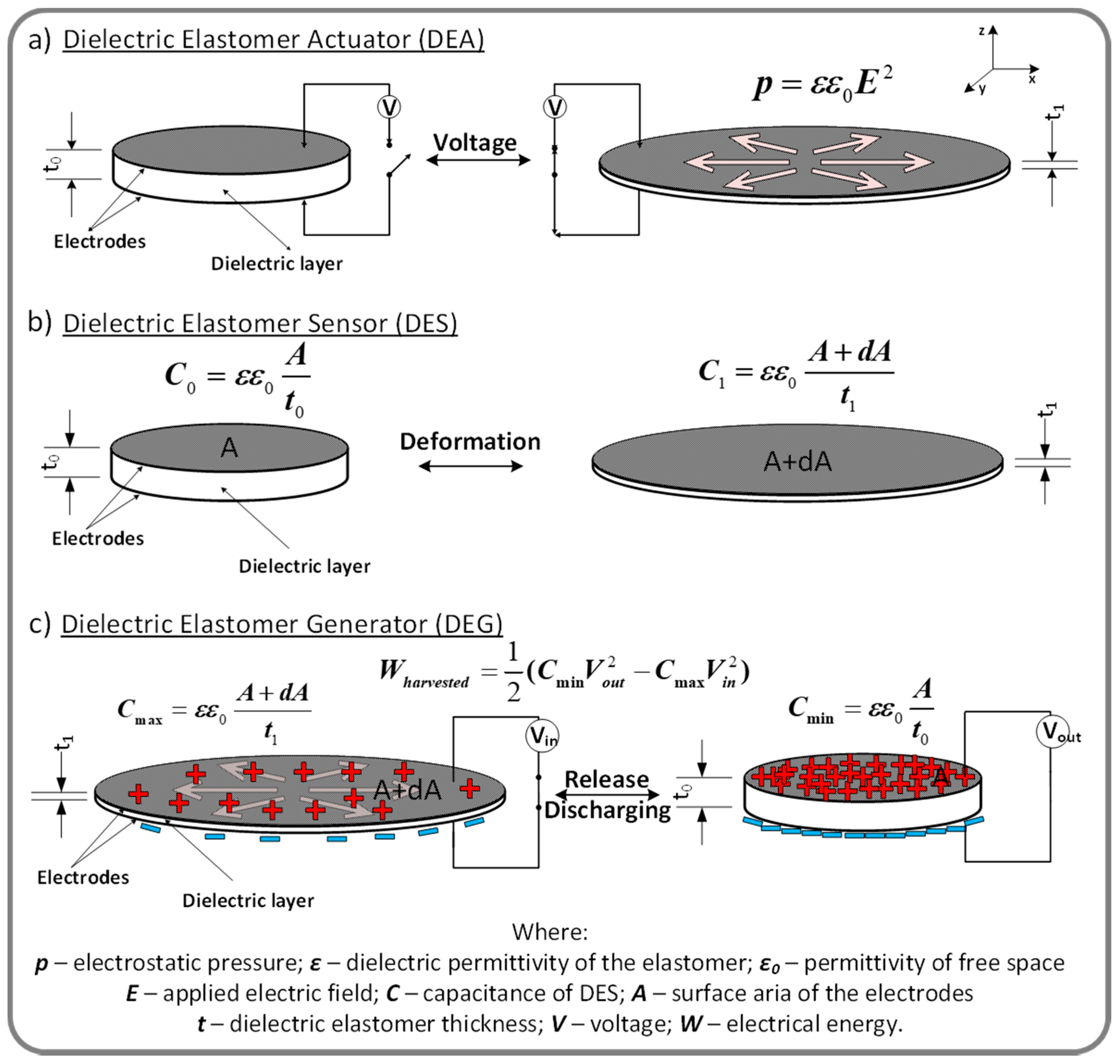 Polymers 13 01605 g003
