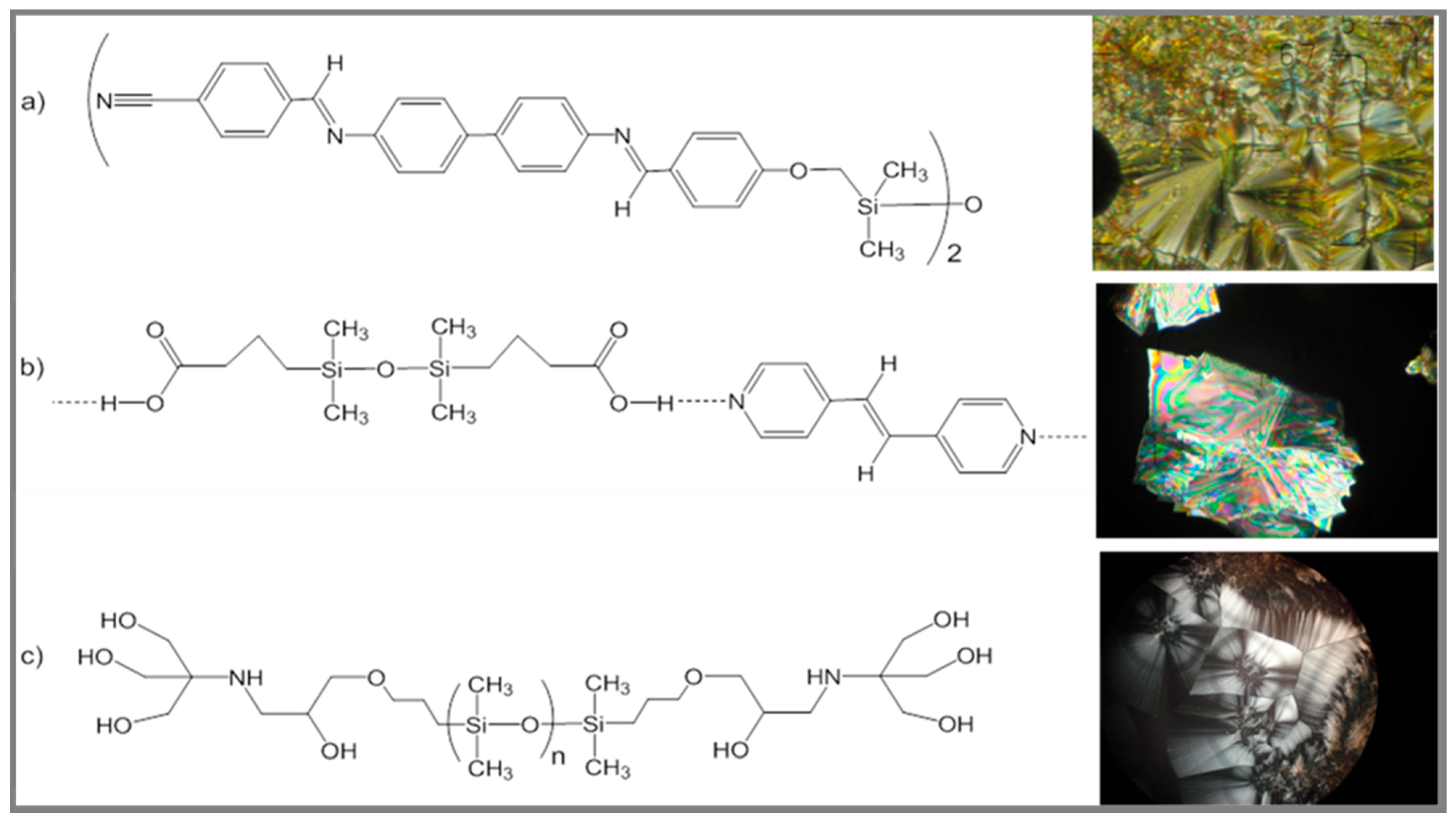 Polymers 13 01605 g008