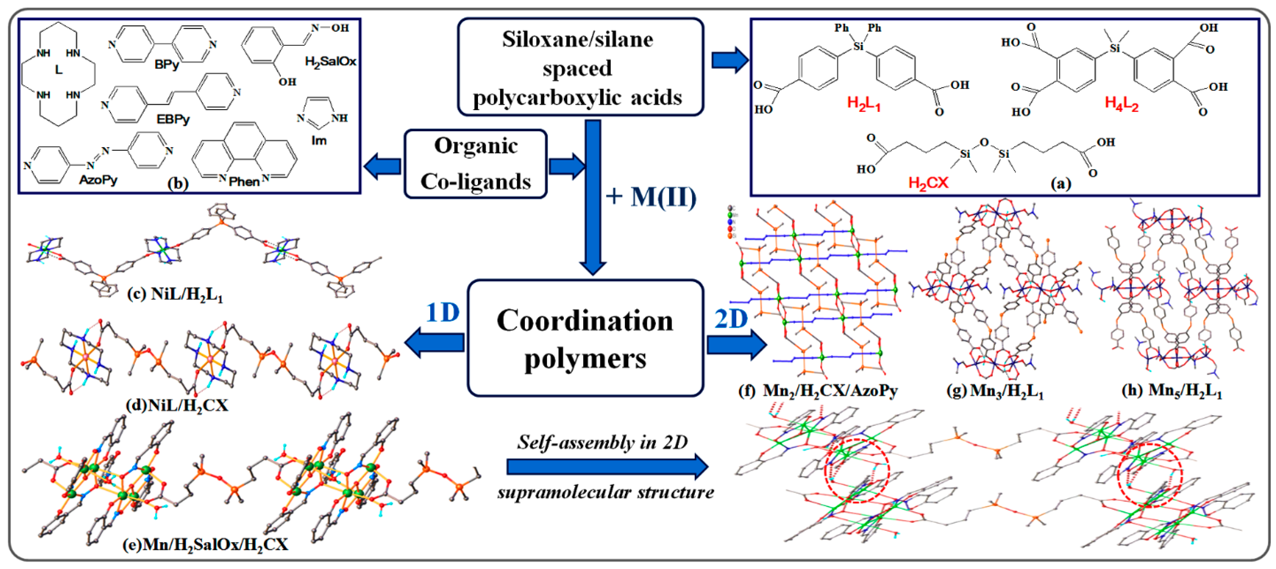 Polymers 13 01605 g009