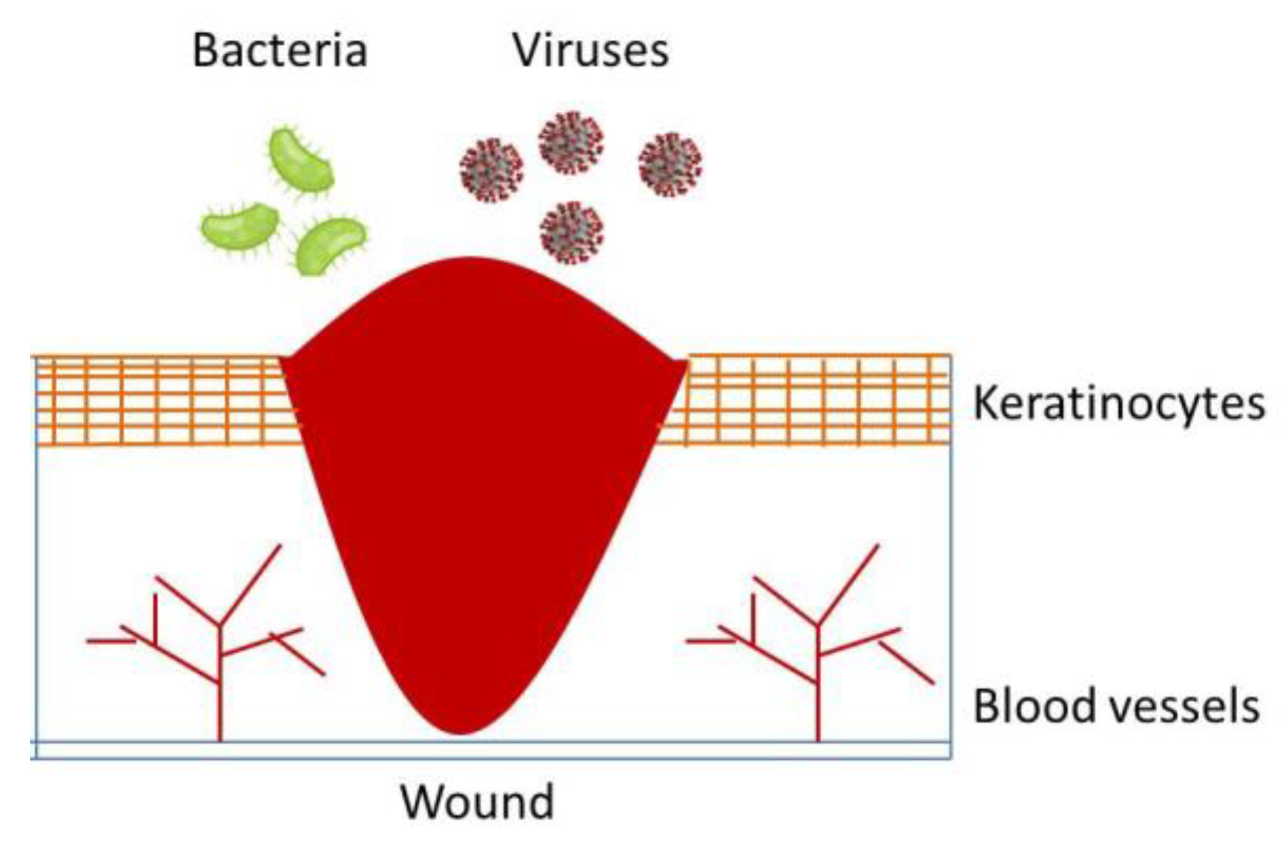 Polymers 13 01608 g001 Polymers 13 01608 g001