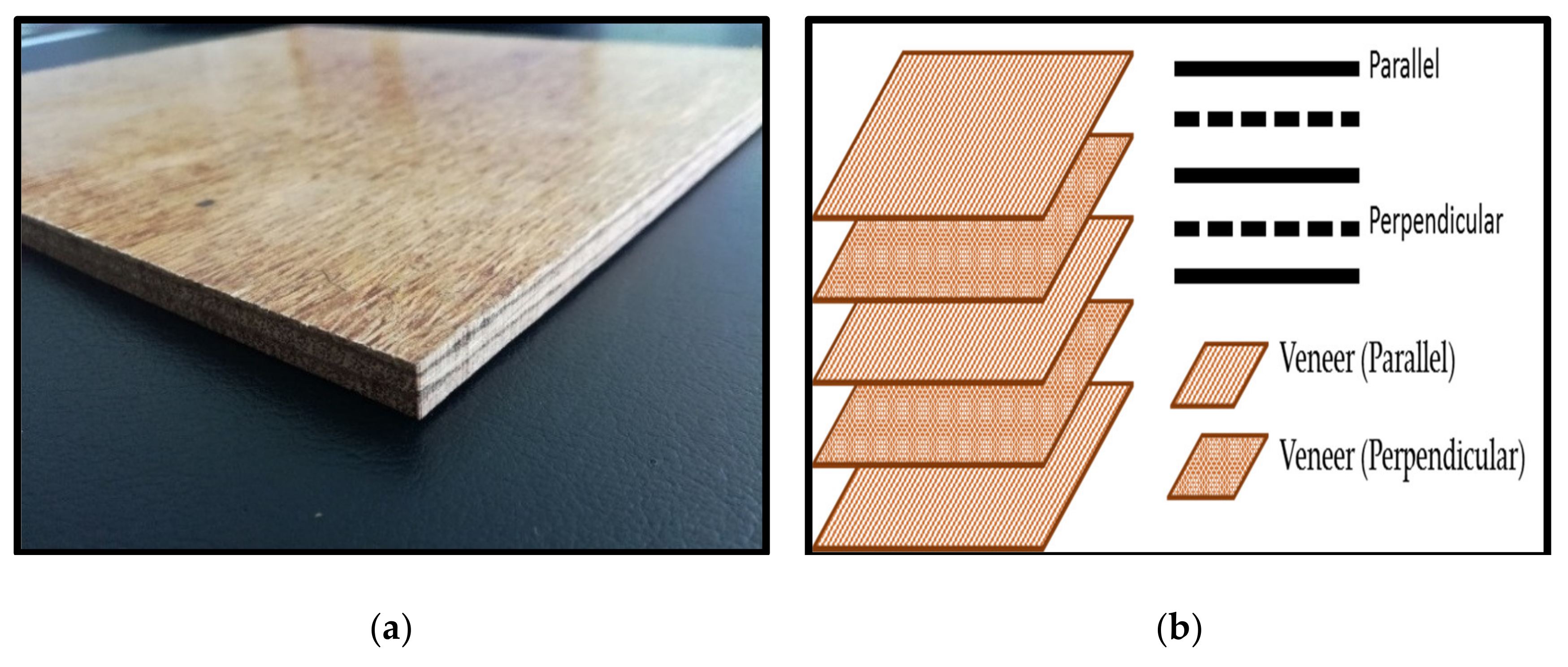 Polymers 13 01615 g001