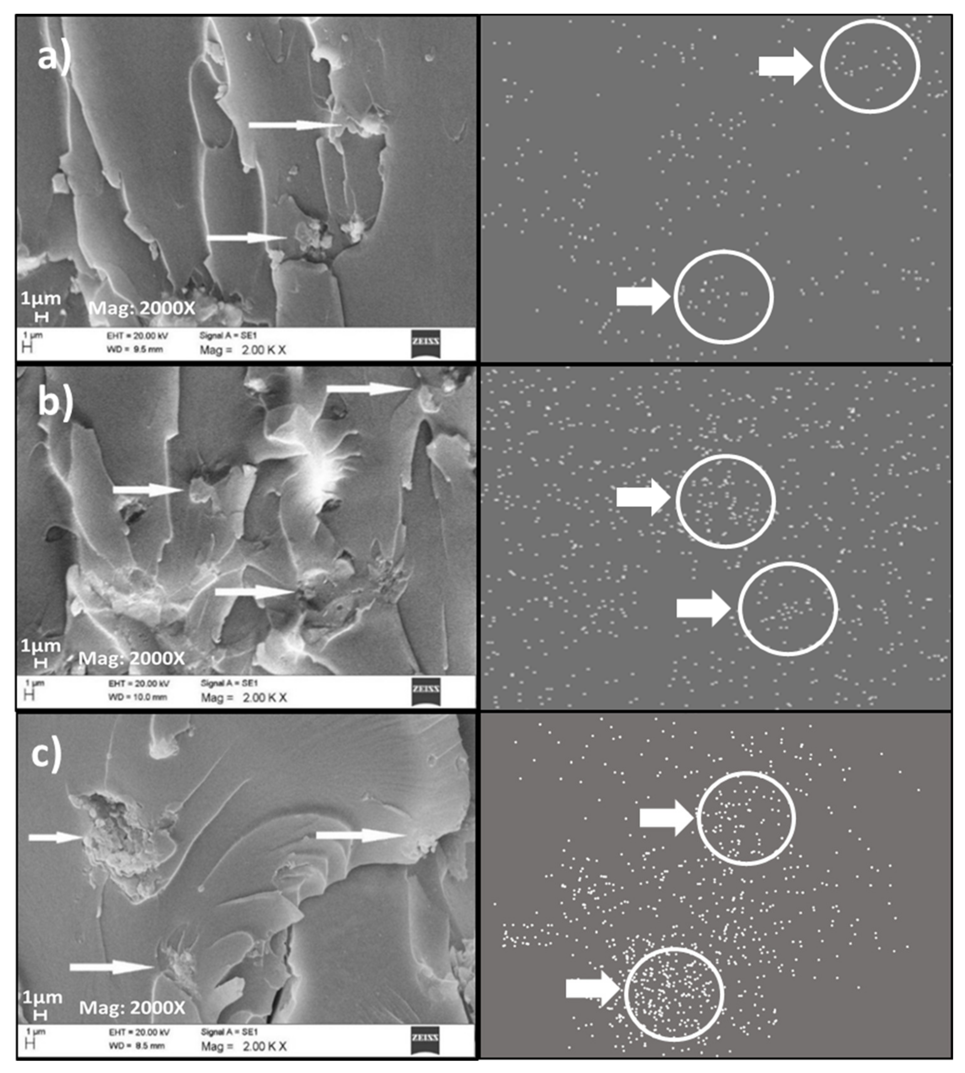 Polymers 13 01615 g010