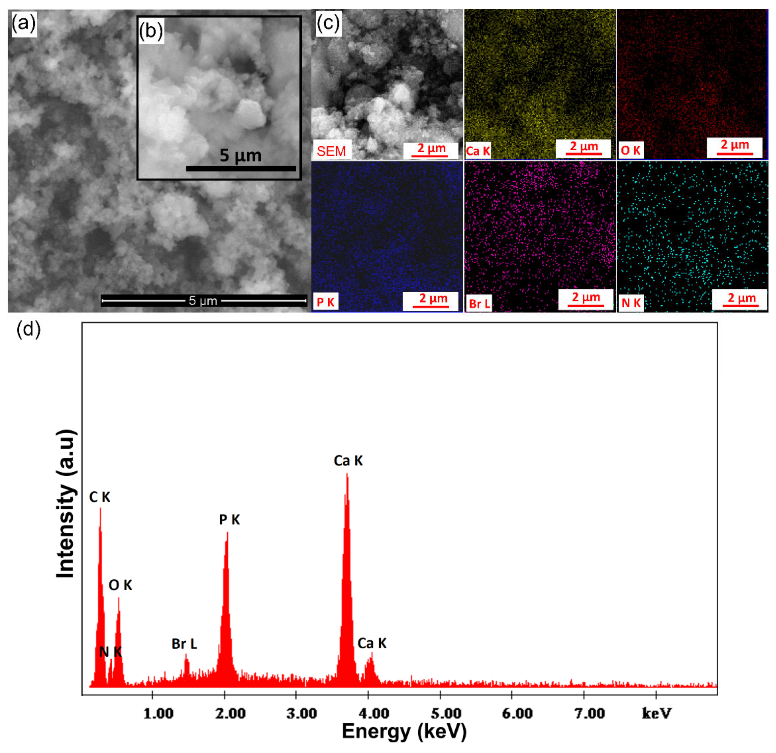 Polymers 13 01617 g003 Polymers 13 01617 g003