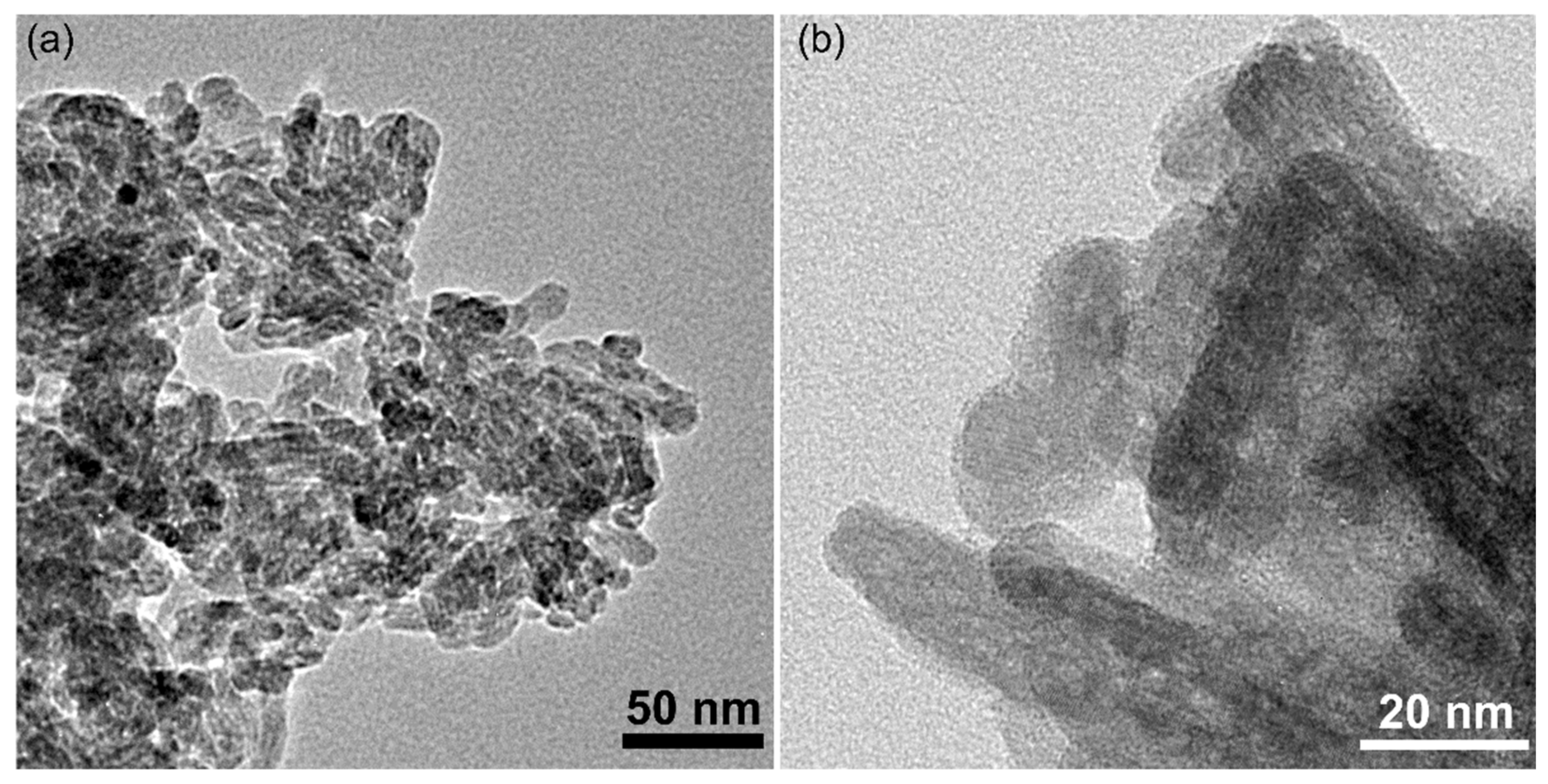 Polymers 13 01617 g004 Polymers 13 01617 g004