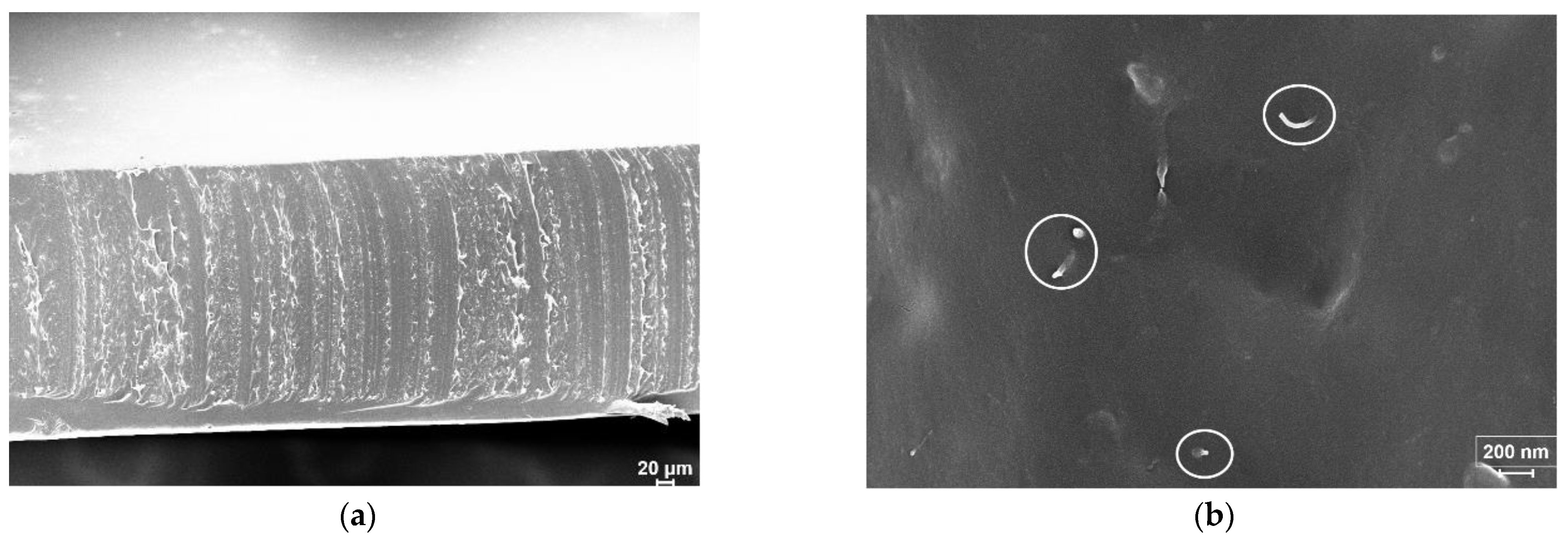 Polymers 13 01618 g002 Polymers 13 01618 g002