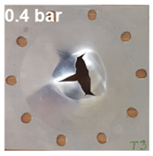 Polymers 13 01618 i011 Polymers 13 01618 i011