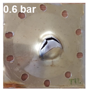 Polymers 13 01618 i021 Polymers 13 01618 i021