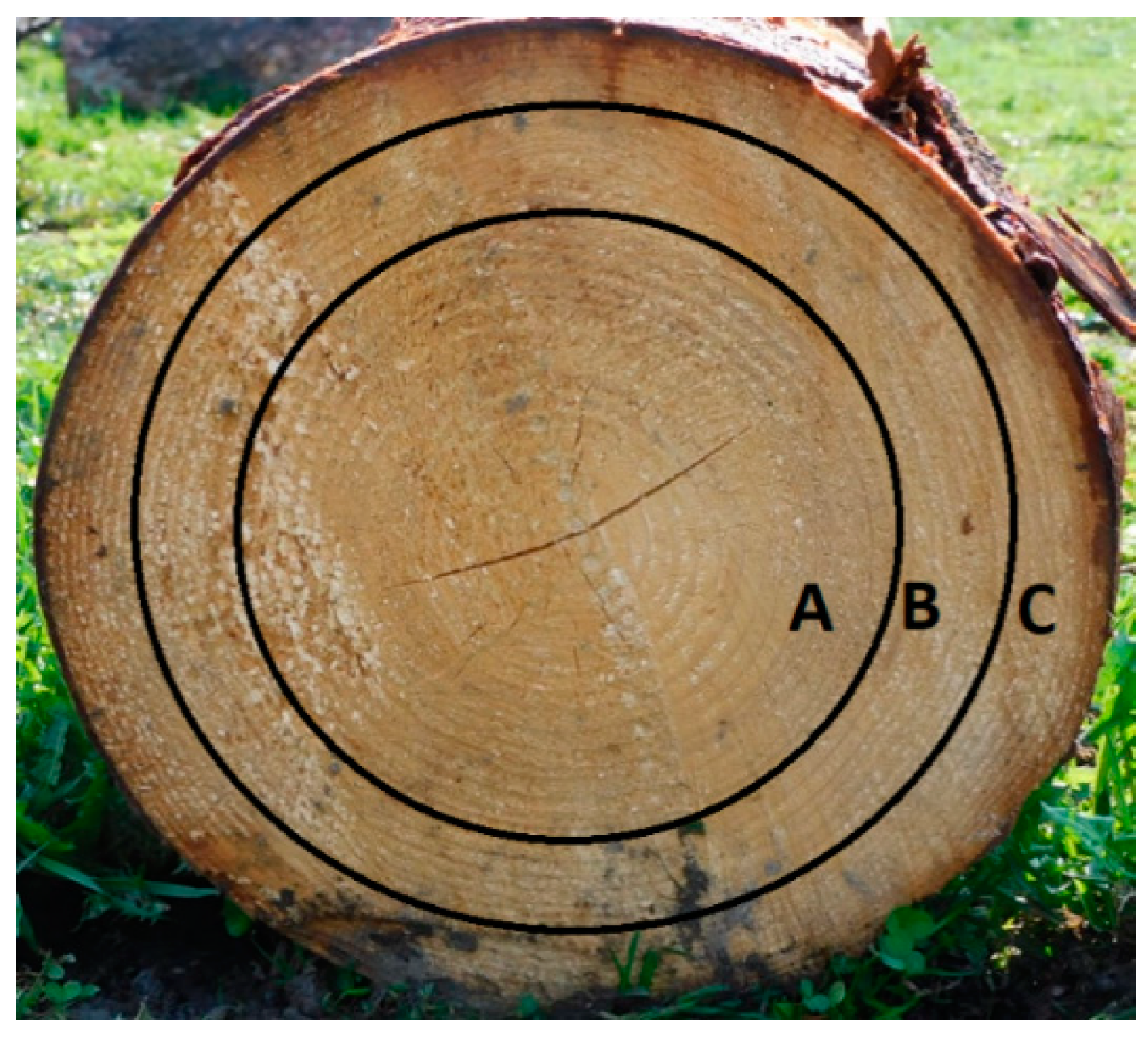 Polymers 13 01619 g001 Polymers 13 01619 g001