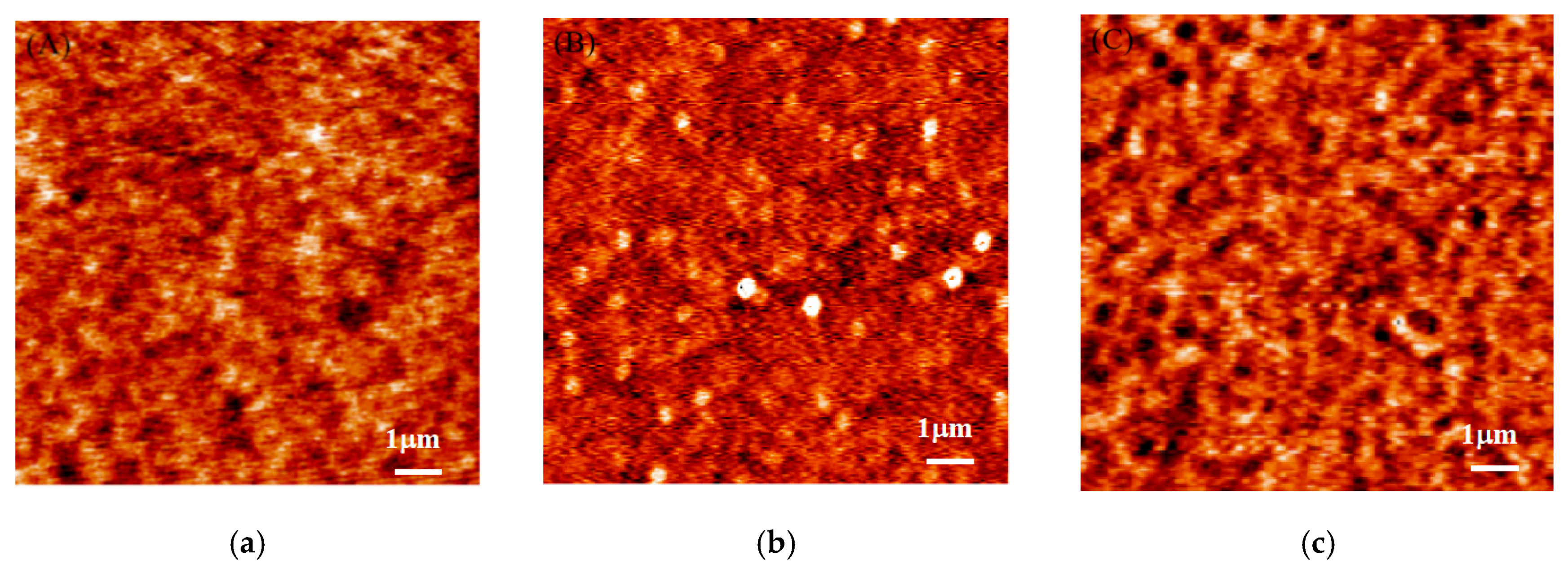 Polymers 13 01621 g006 Polymers 13 01621 g006