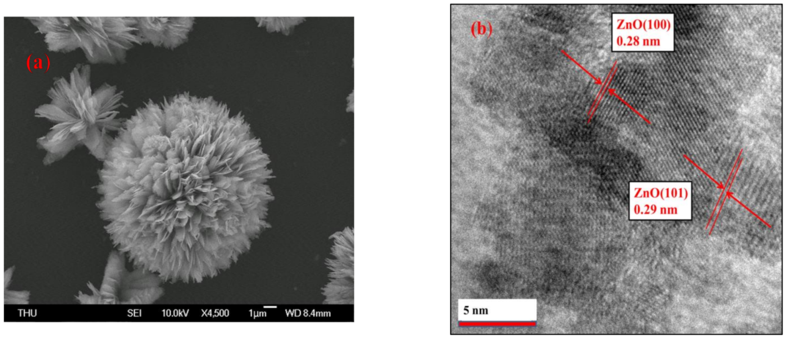 Polymers 13 01623 g004a Polymers 13 01623 g004a