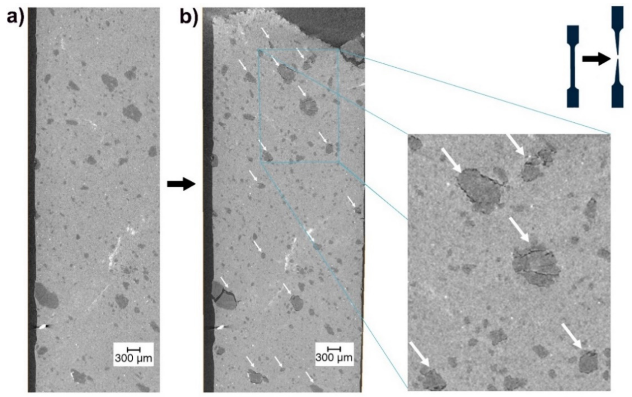 Polymers 13 01626 g009 Polymers 13 01626 g009