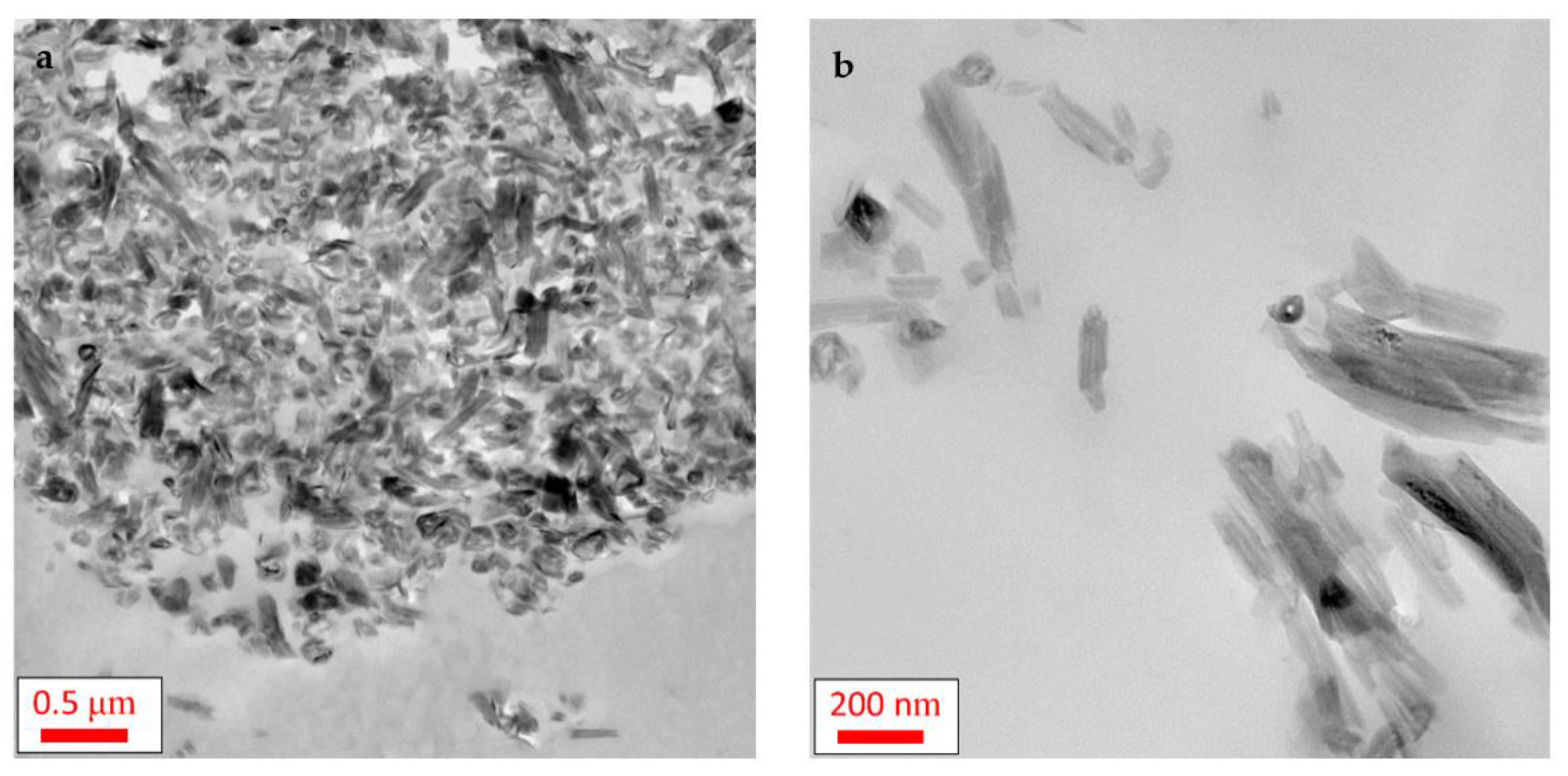 Polymers 13 01634 g004 Polymers 13 01634 g004