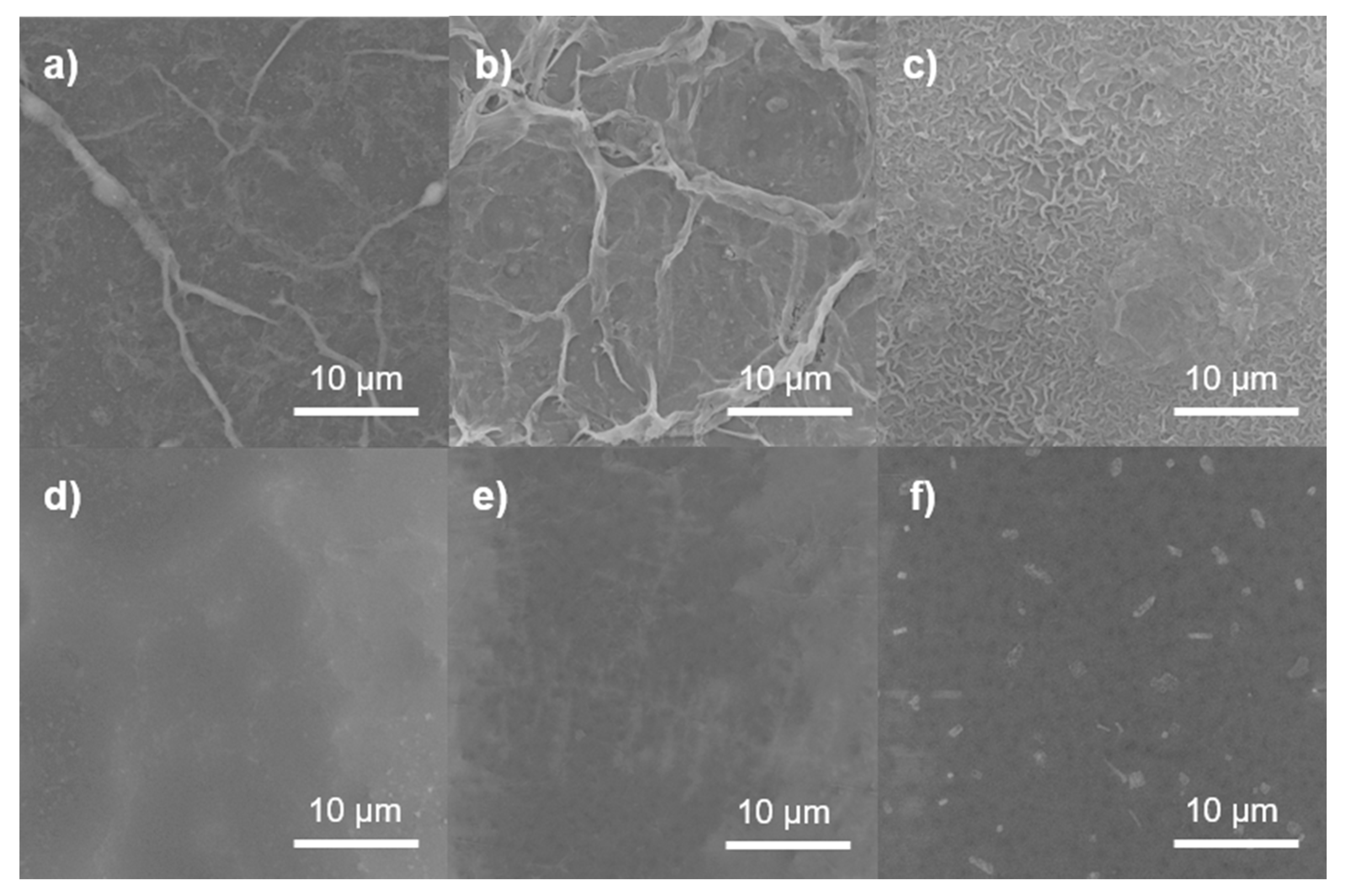 Polymers 13 01637 g004 Polymers 13 01637 g004