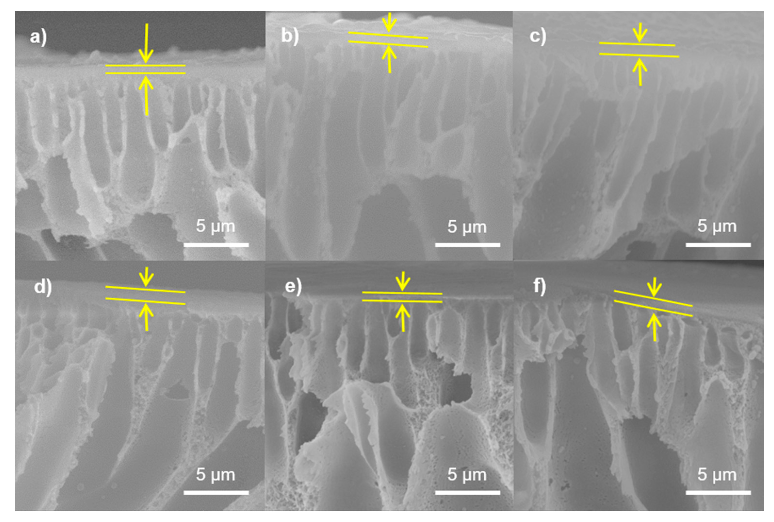 Polymers 13 01637 g005 Polymers 13 01637 g005