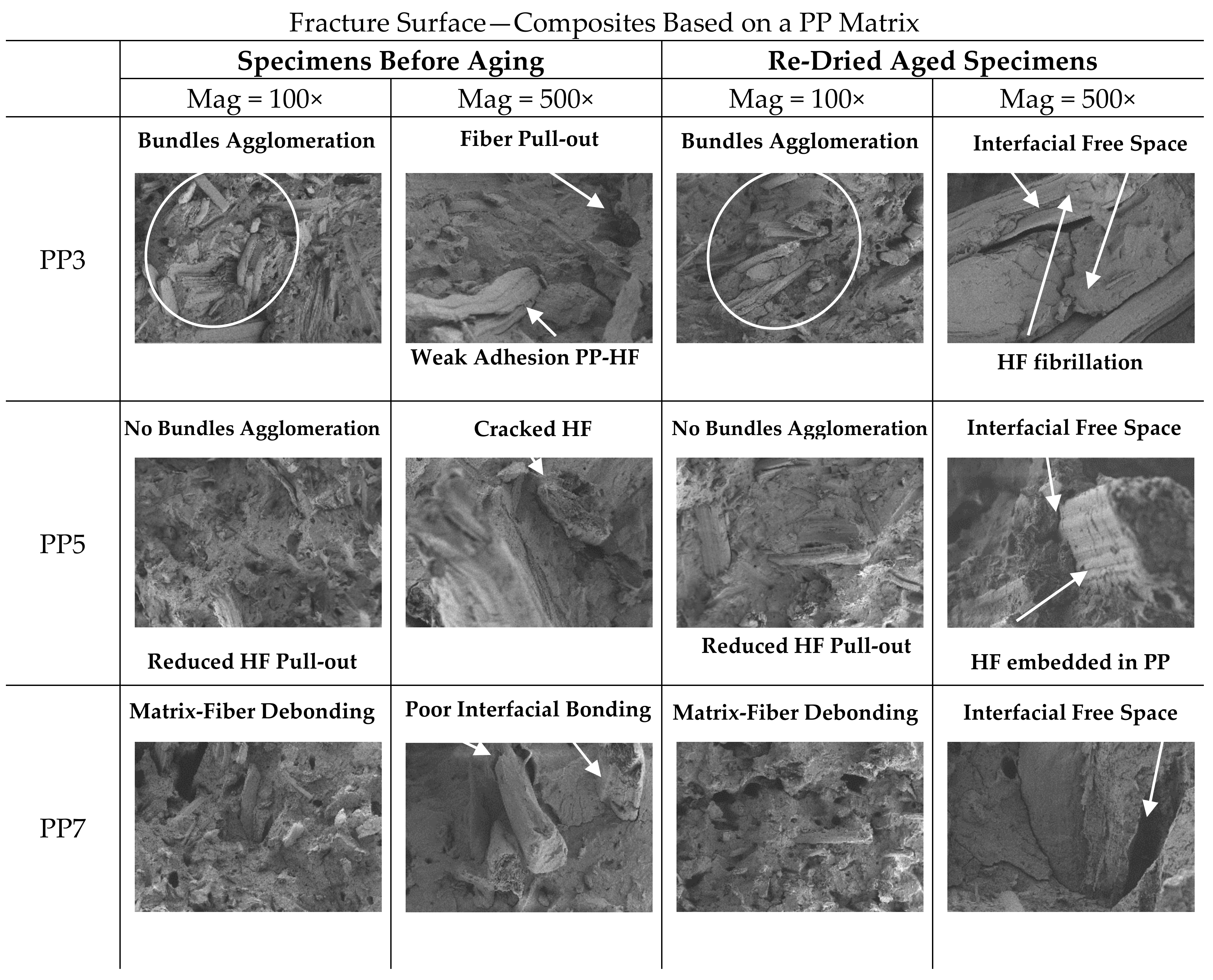 Polymers 13 01638 g012 Polymers 13 01638 g012