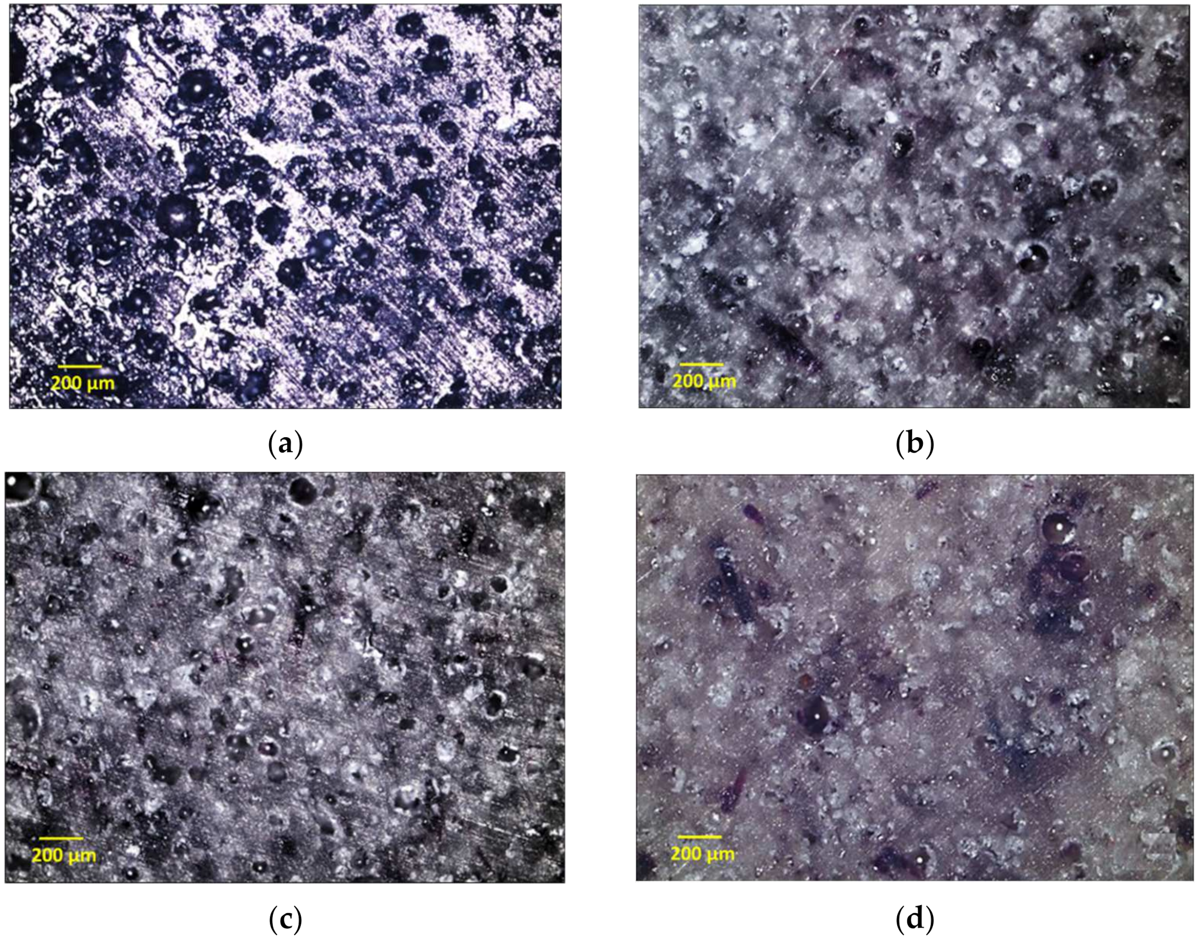 Polymers 13 01642 g004