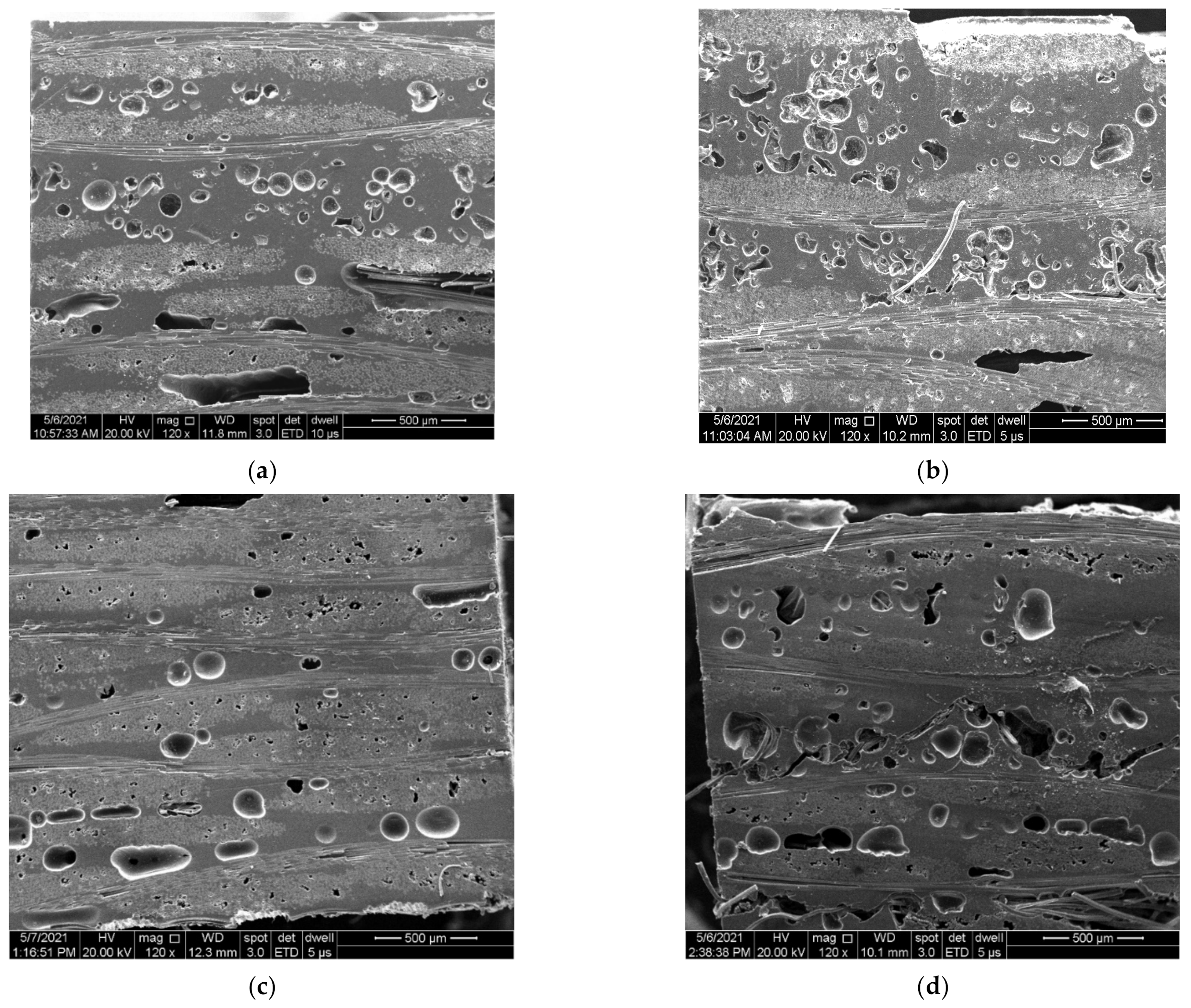 Polymers 13 01642 g012