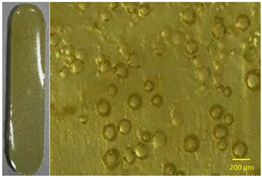 Polymers 13 01642 i002