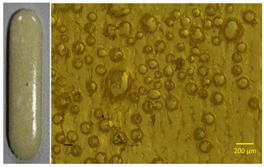 Polymers 13 01642 i003