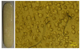 Polymers 13 01642 i004