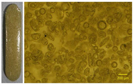 Polymers 13 01642 i006