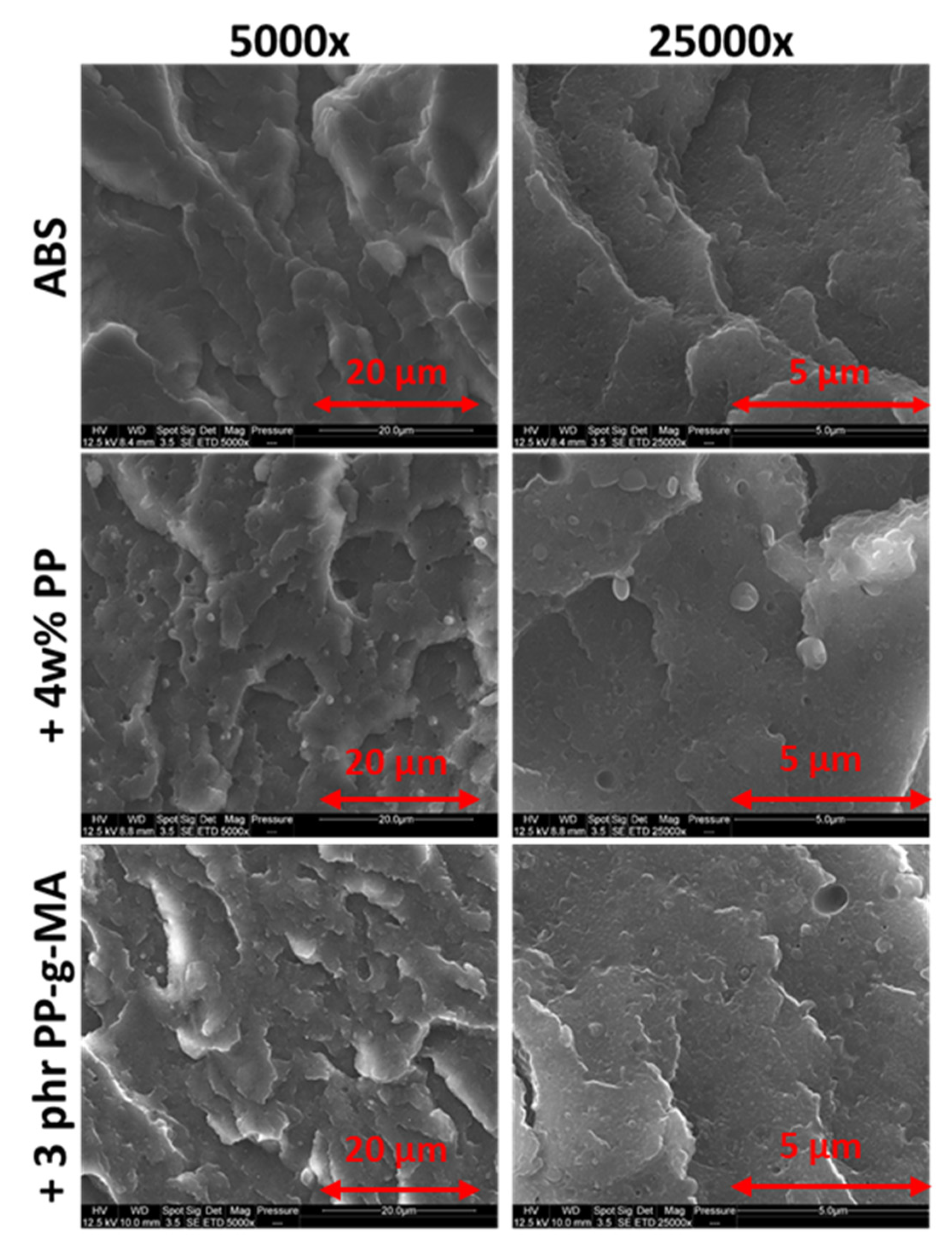 Polymers 13 01647 g007