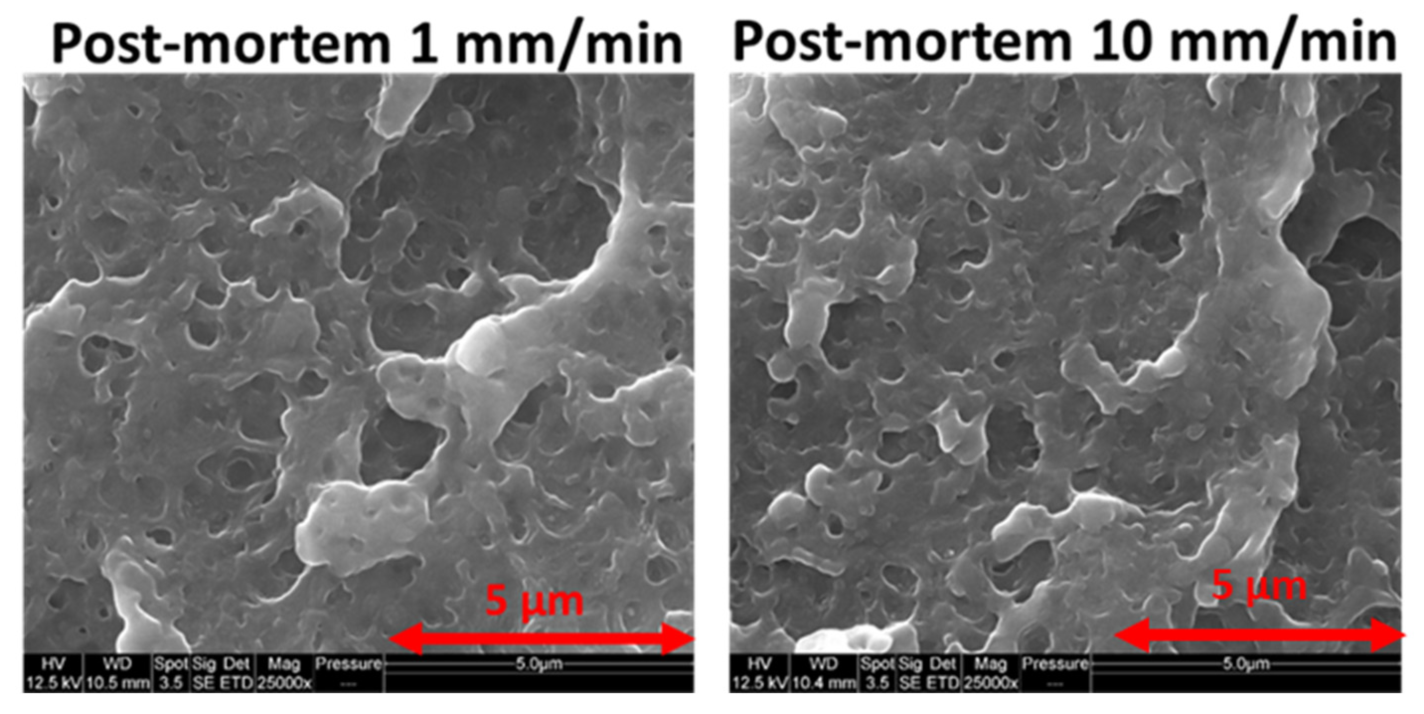 Polymers 13 01647 g012