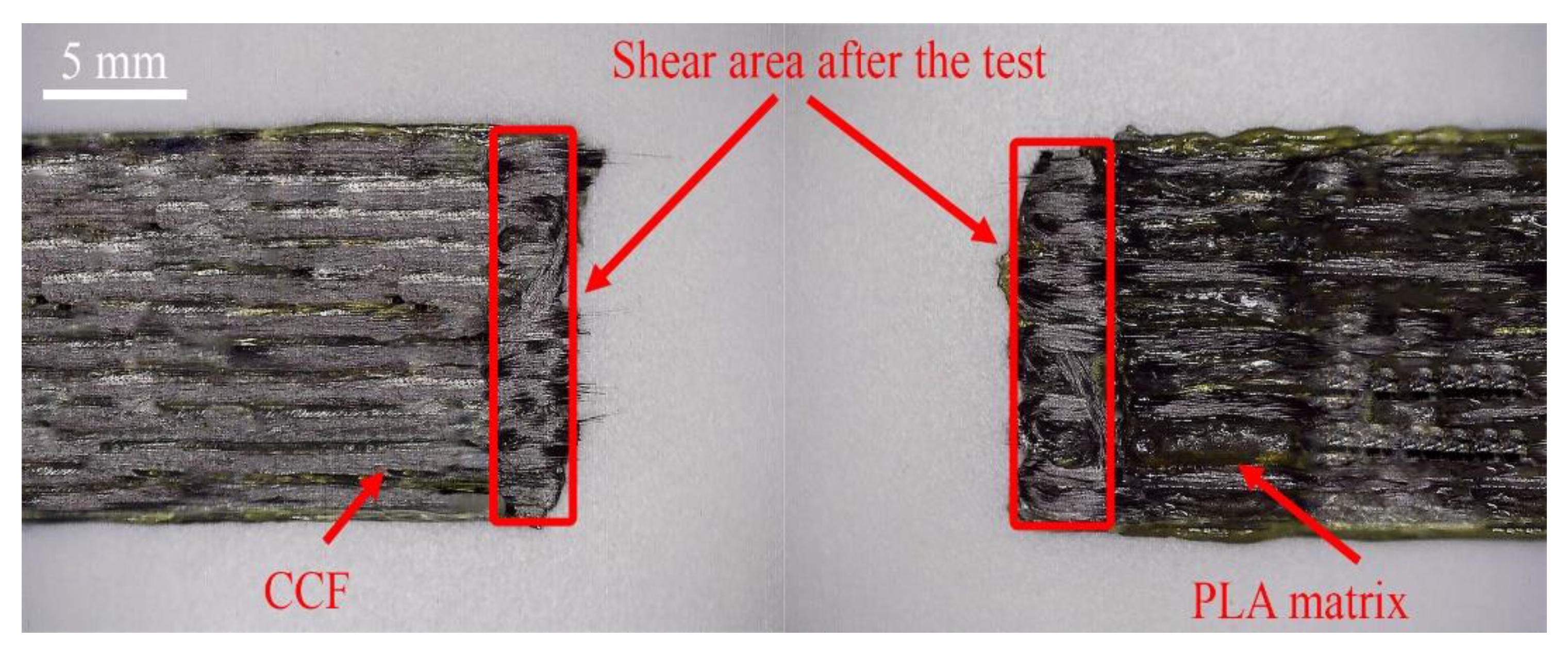 Polymers 13 01653 g007