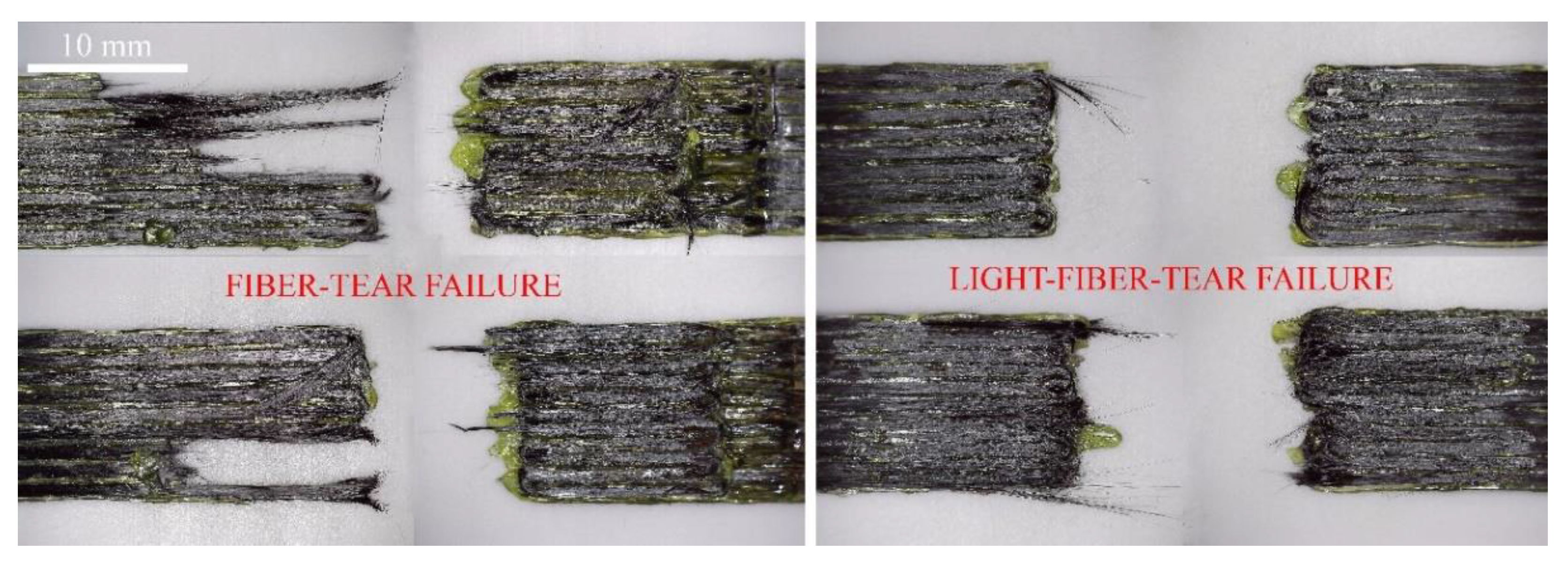 Polymers 13 01653 g008