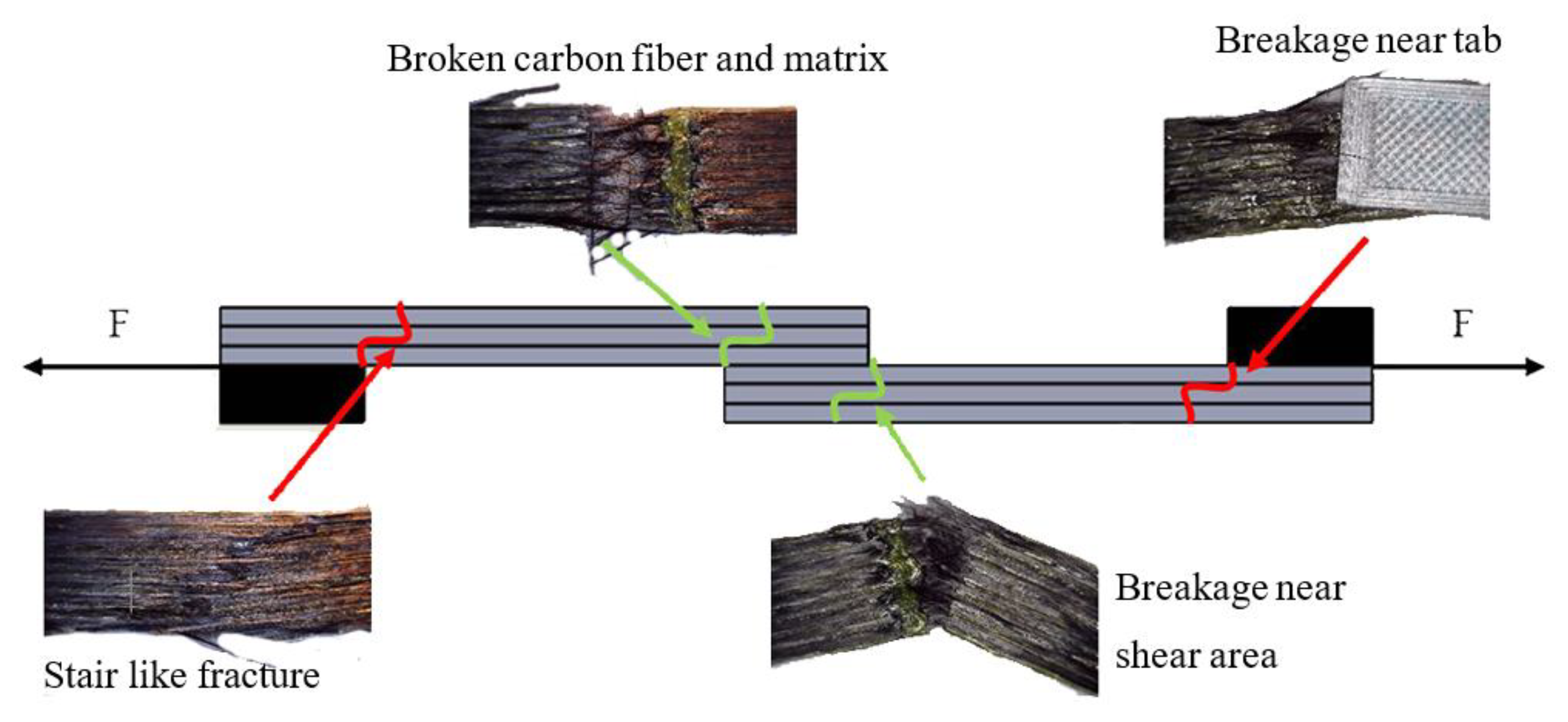 Polymers 13 01653 g009