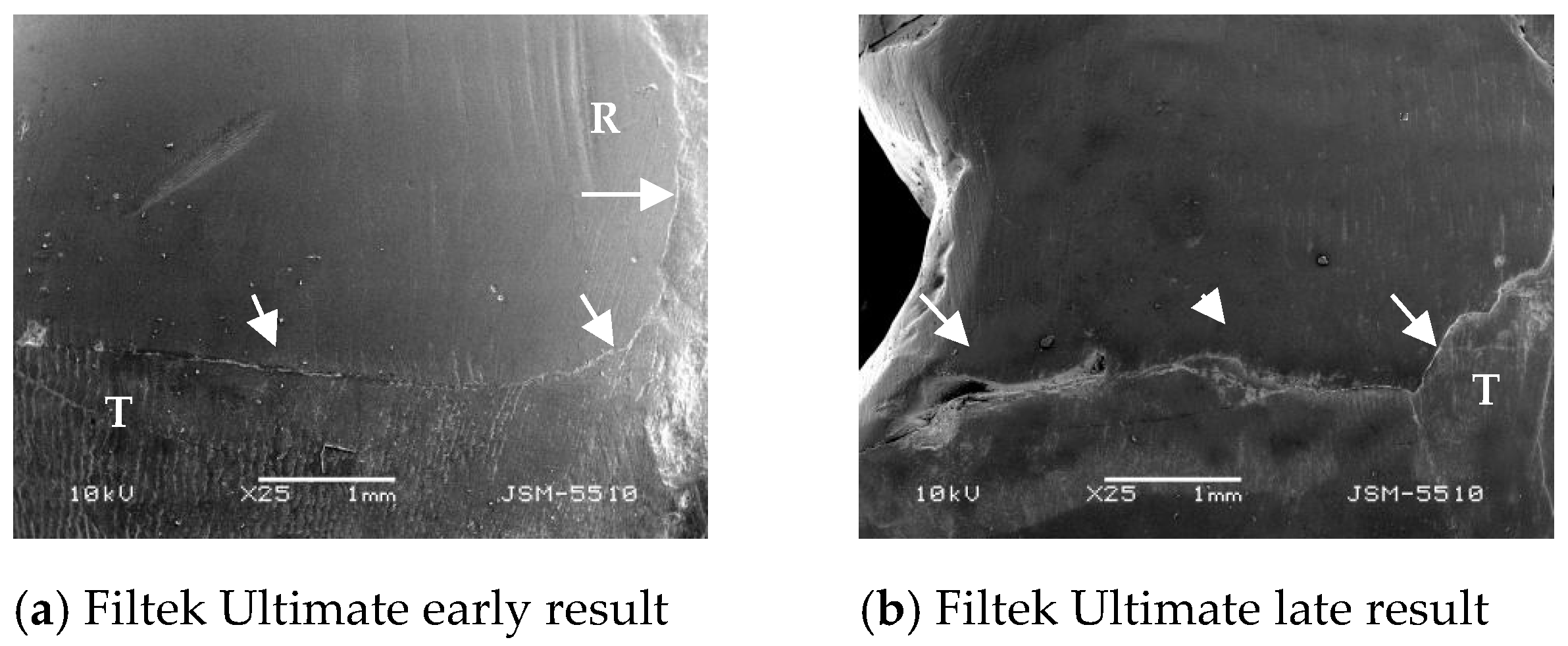 Polymers 13 01660 g006a