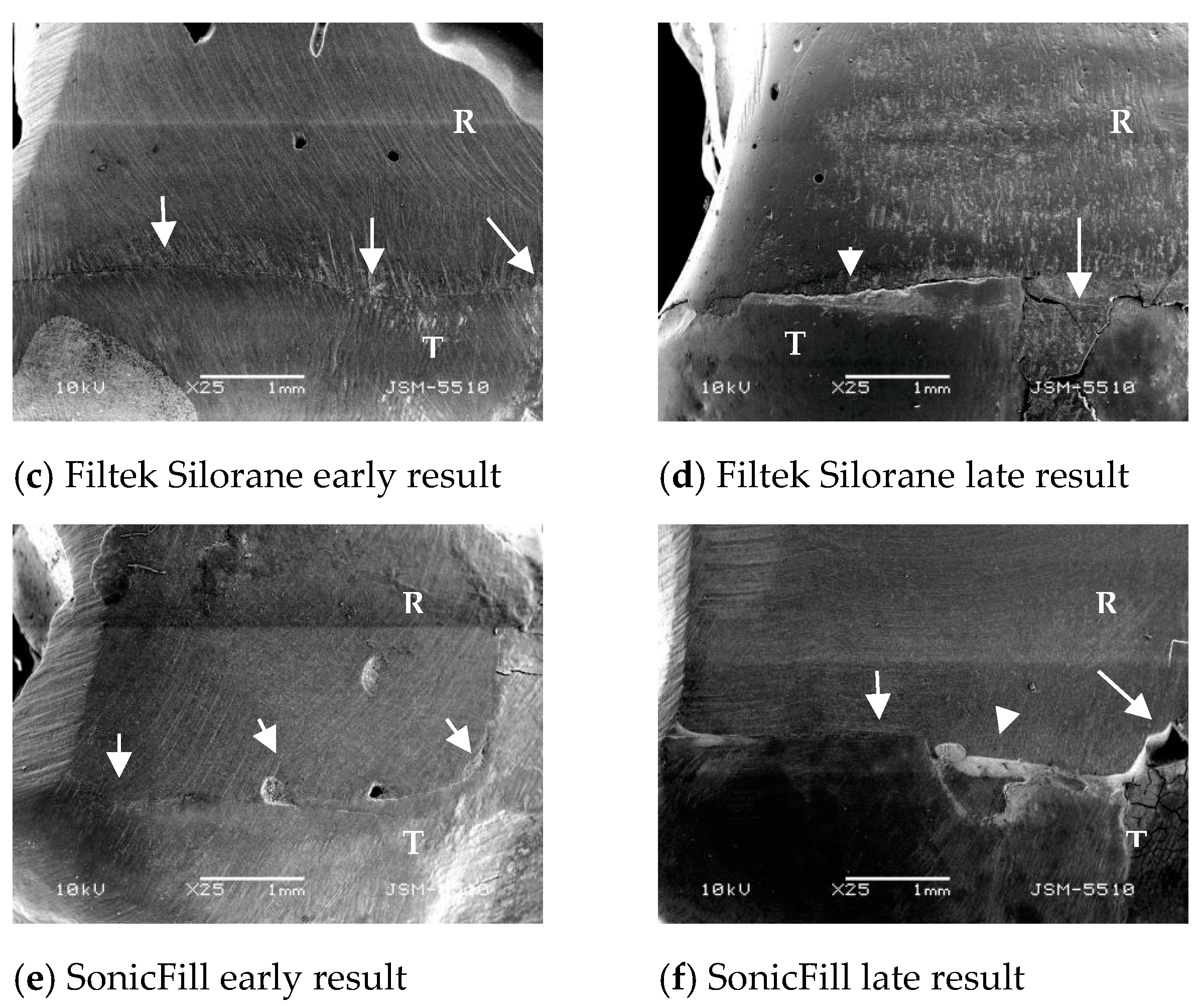 Polymers 13 01660 g006b