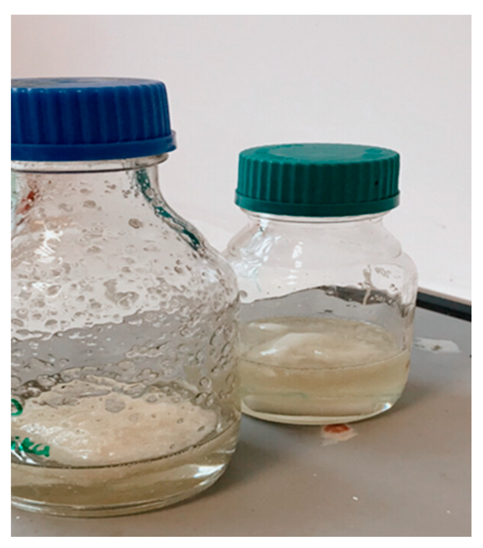 Polymers 13 01661 g001