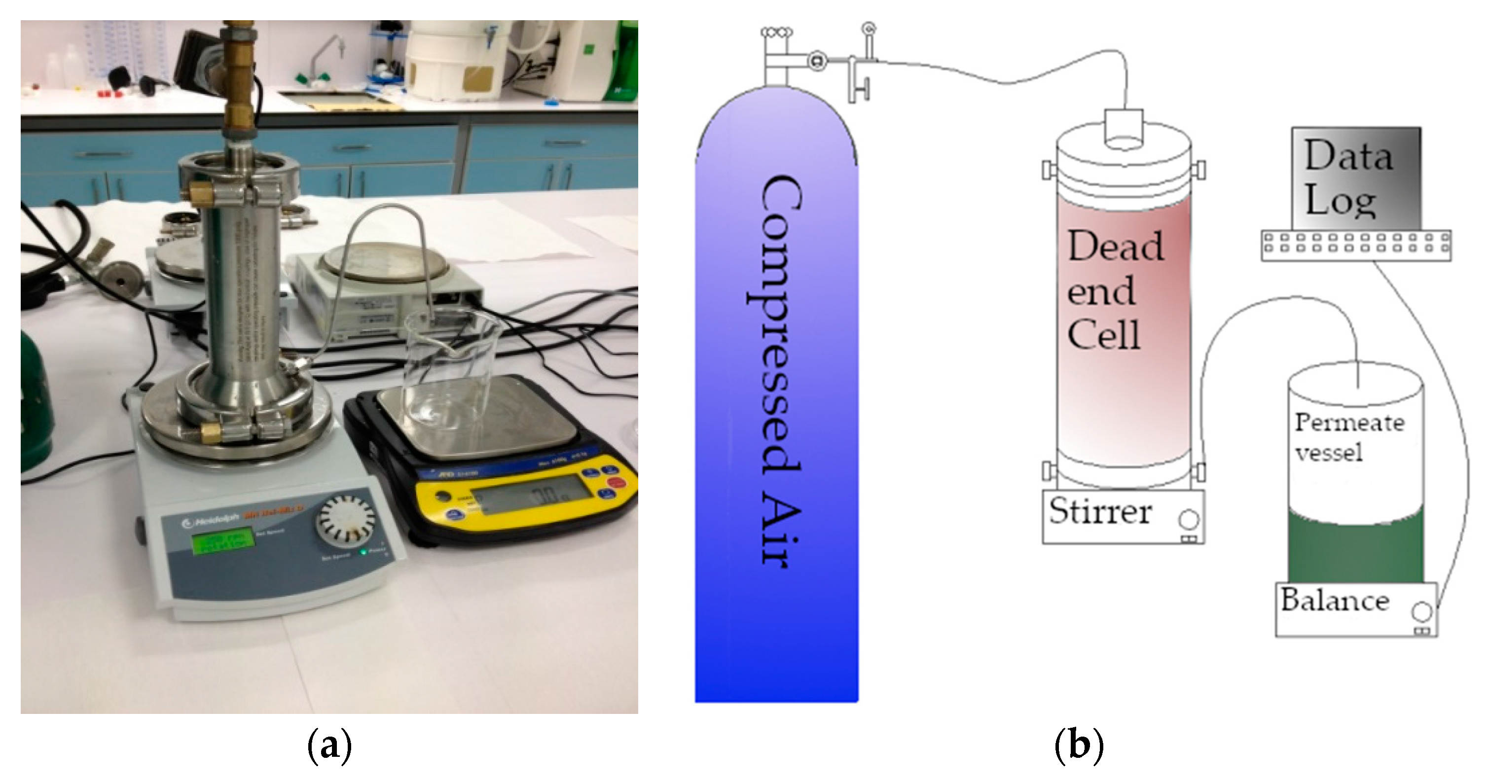 Polymers 13 01661 g003