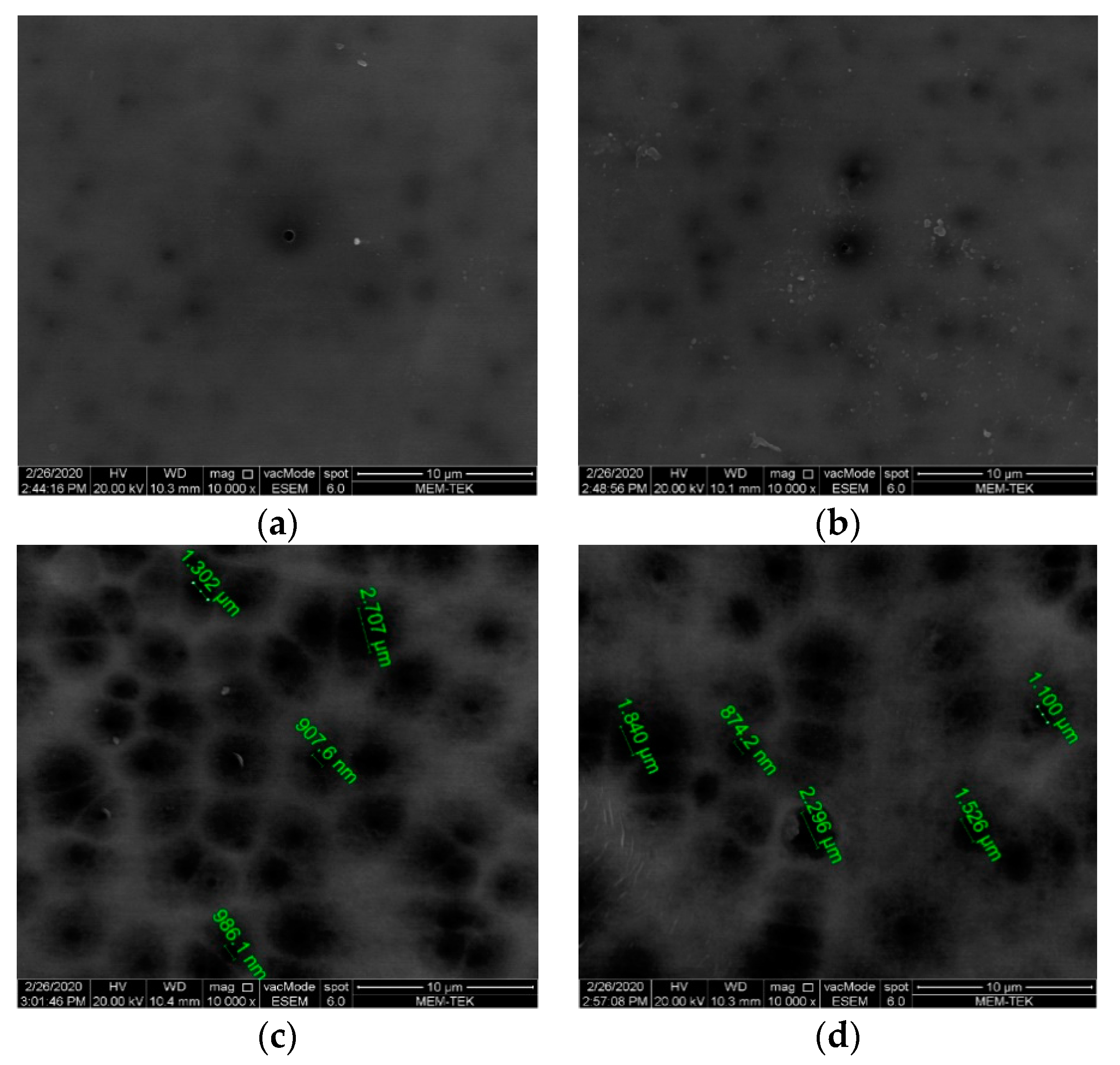Polymers 13 01661 g006