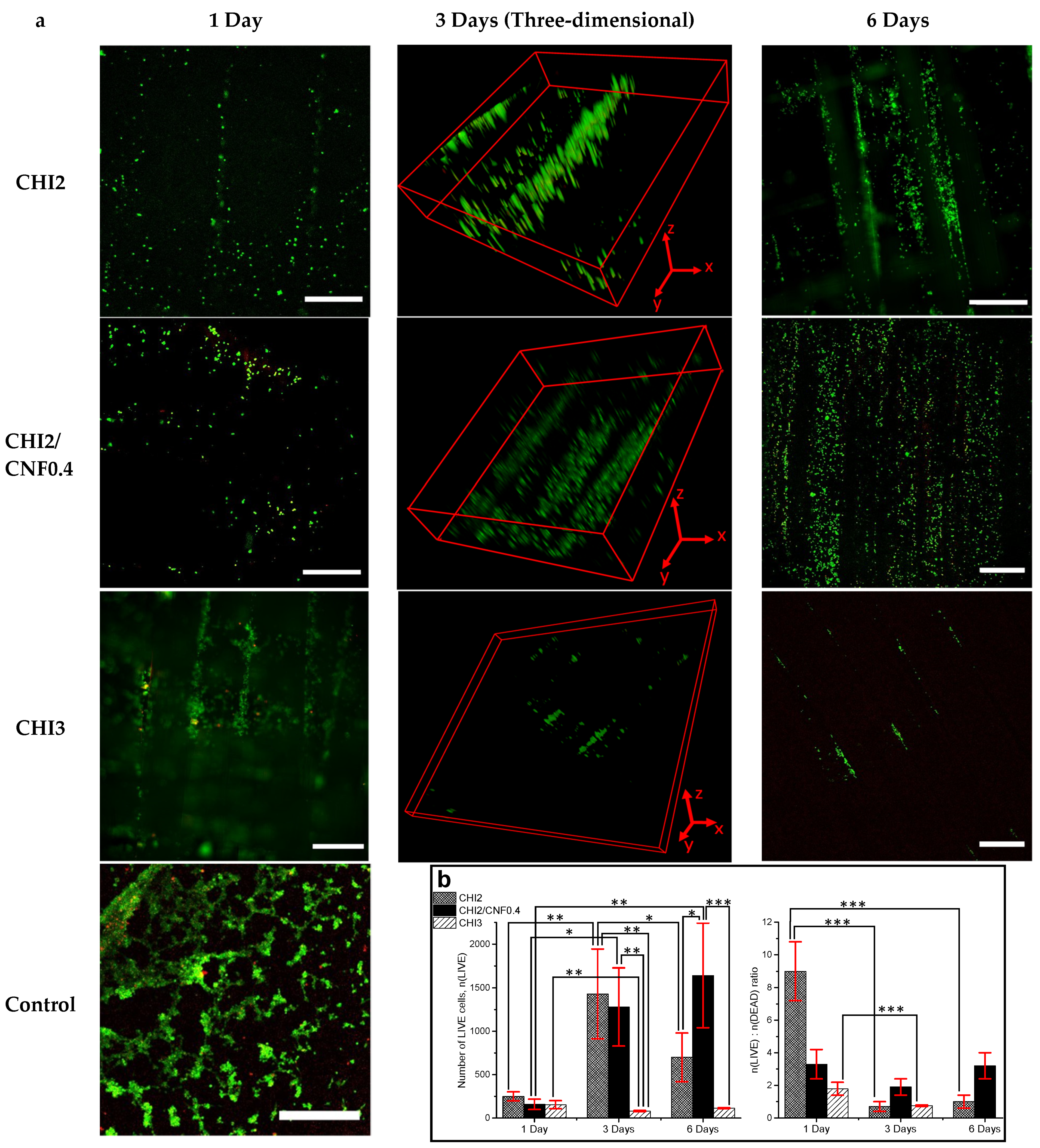 Polymers 13 01663 g009