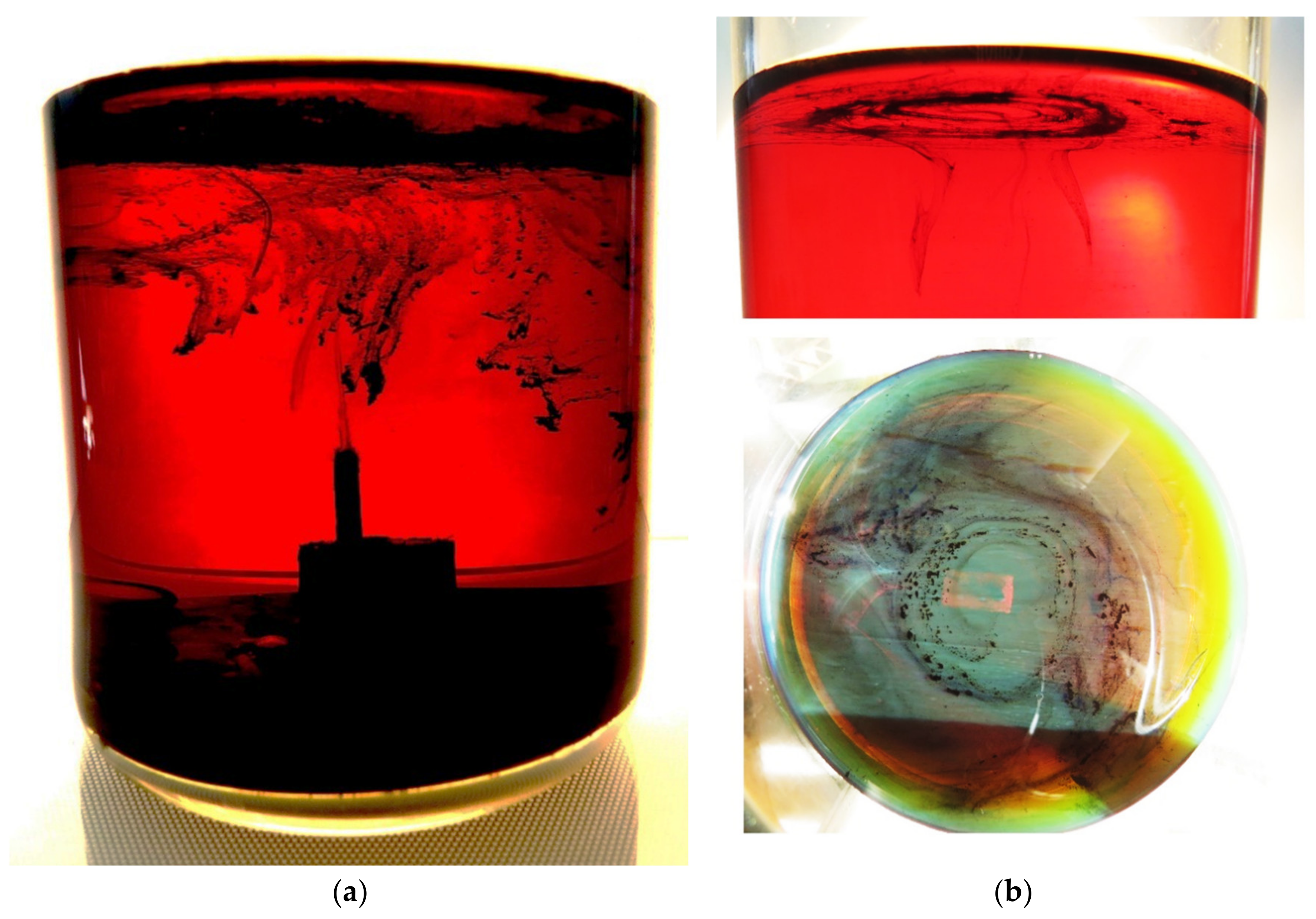 Polymers 13 01678 g007