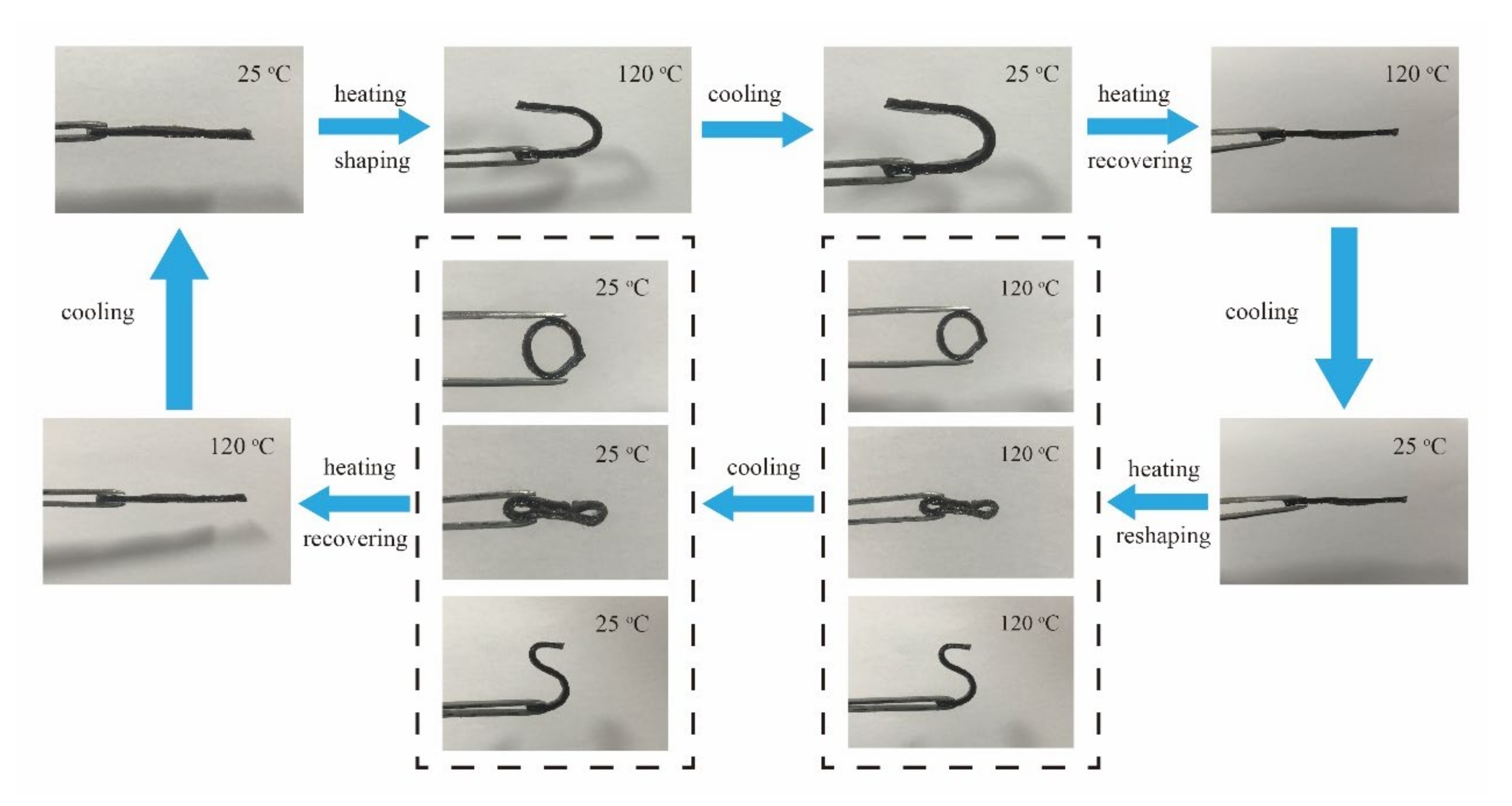 Polymers 13 01679 g012
