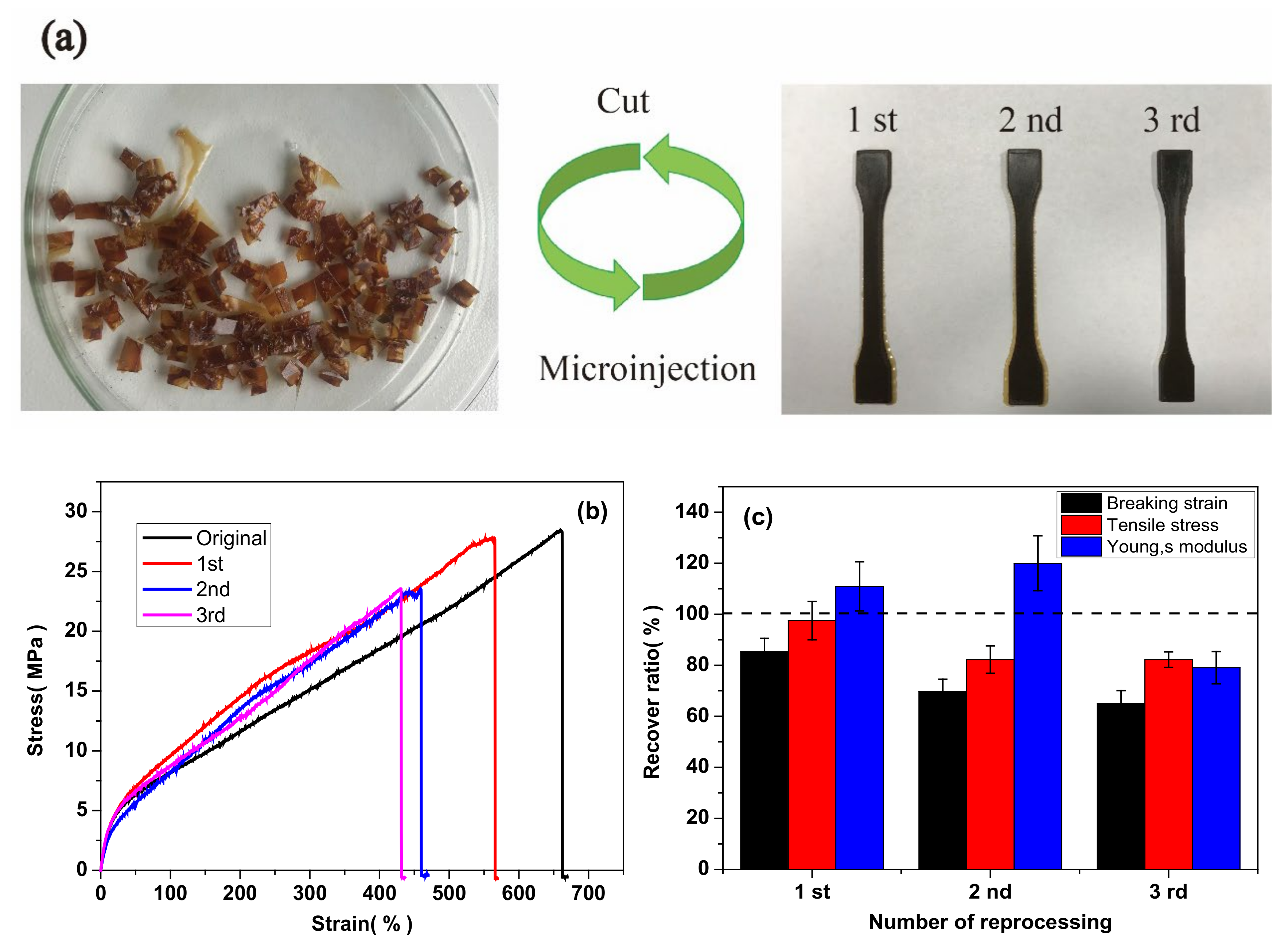 Polymers 13 01679 g013