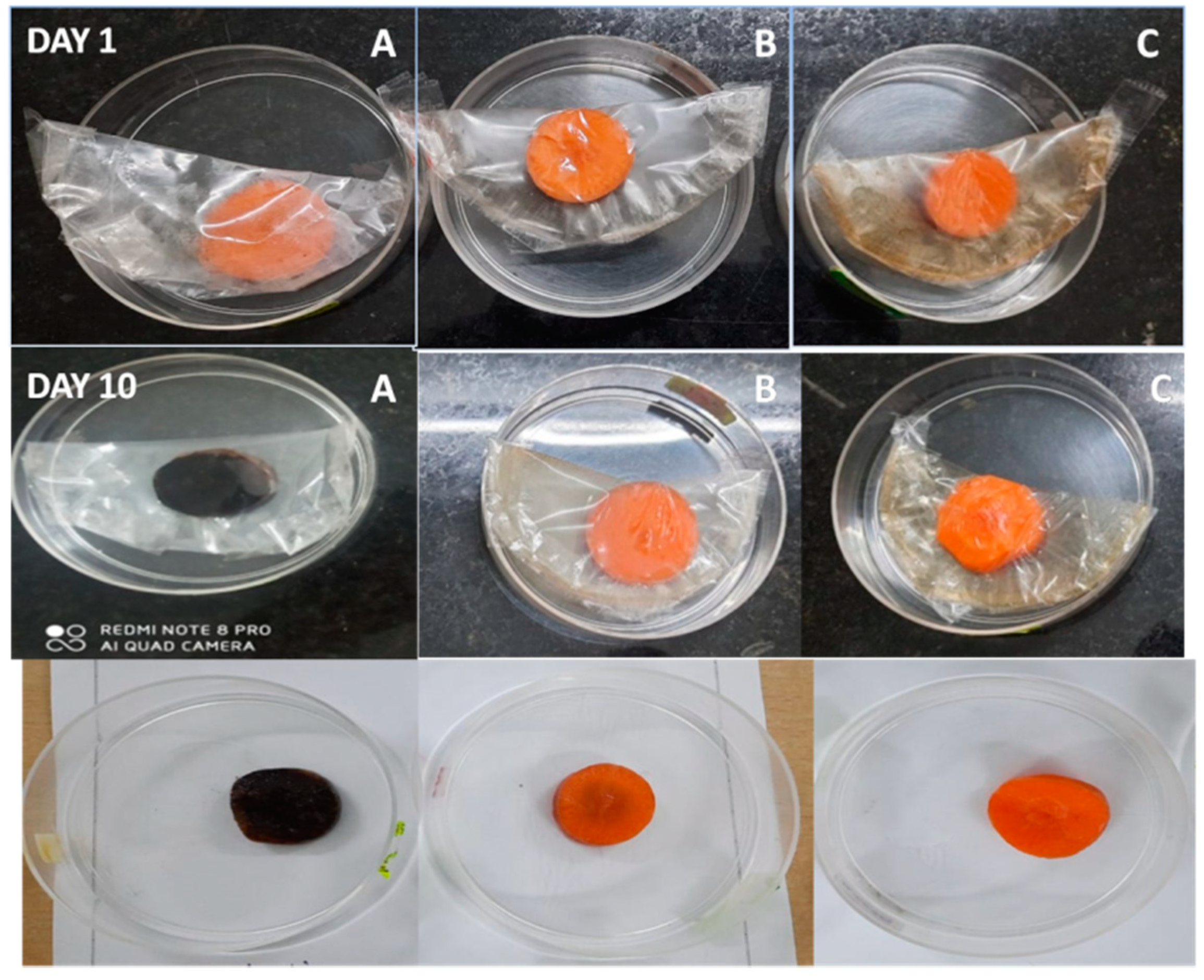 Polymers 13 01680 g012