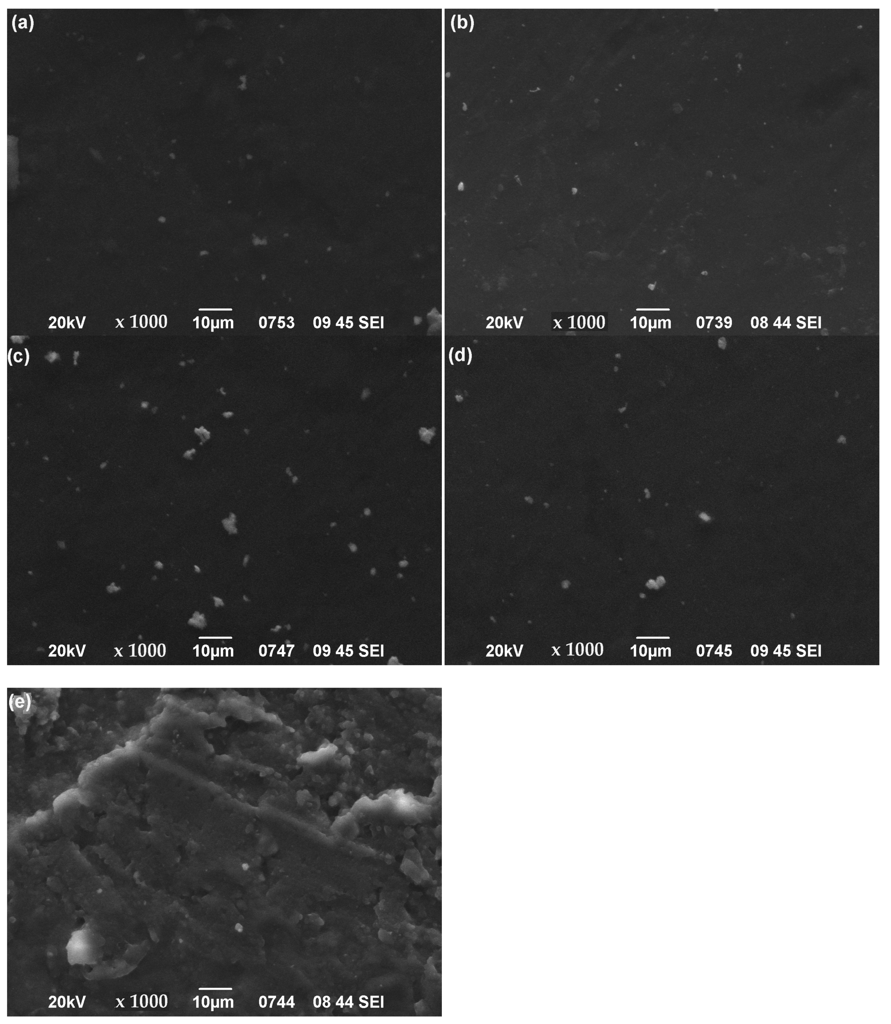 Polymers 13 01682 g005